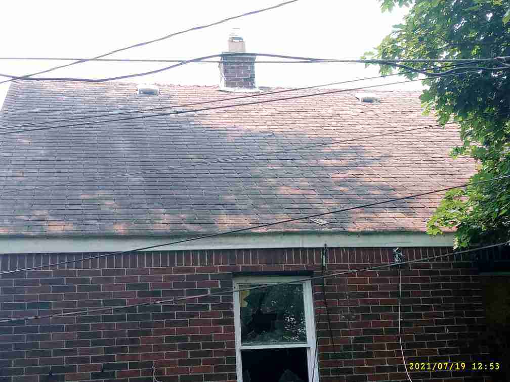 3045108-1_008.jpg