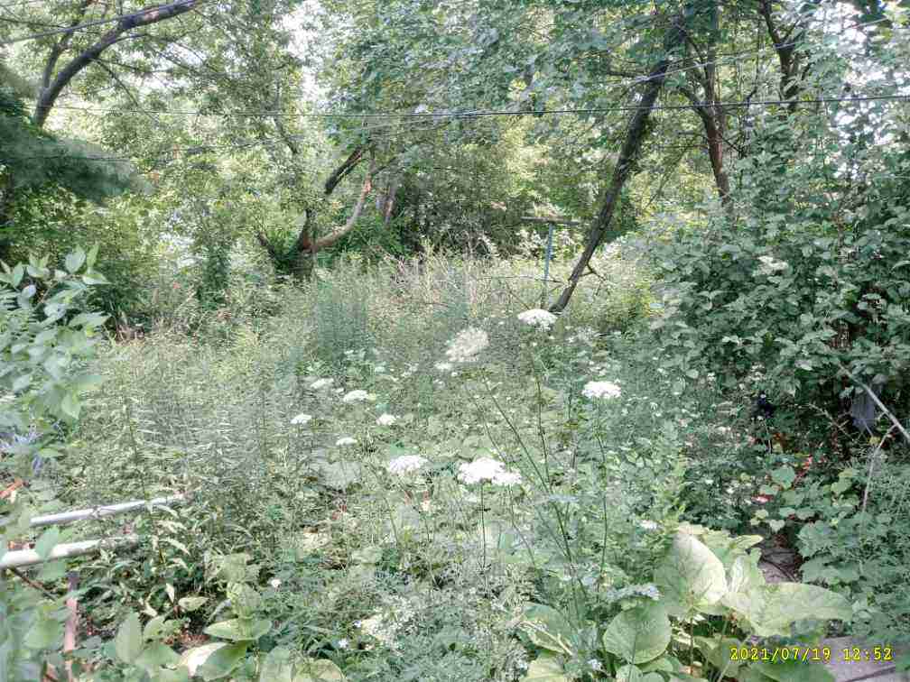 3045108-1_013.jpg