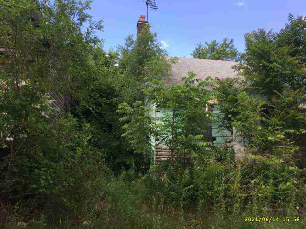3043721-1_008.jpg