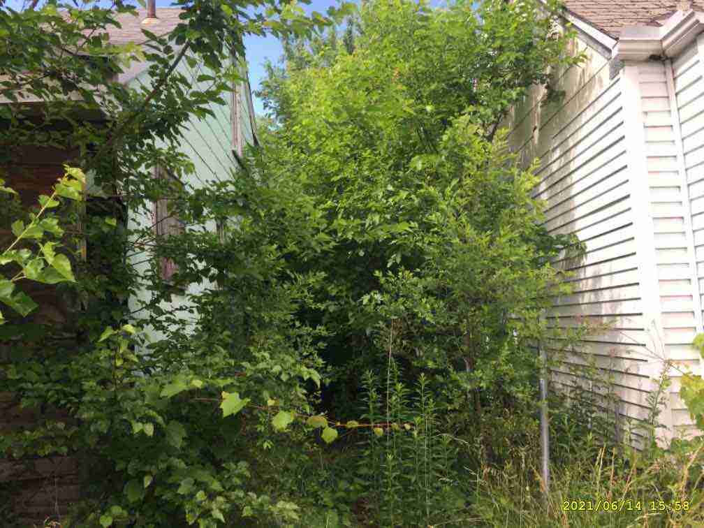 3043721-1_009.jpg