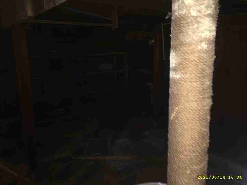 3043721-1_025.jpg