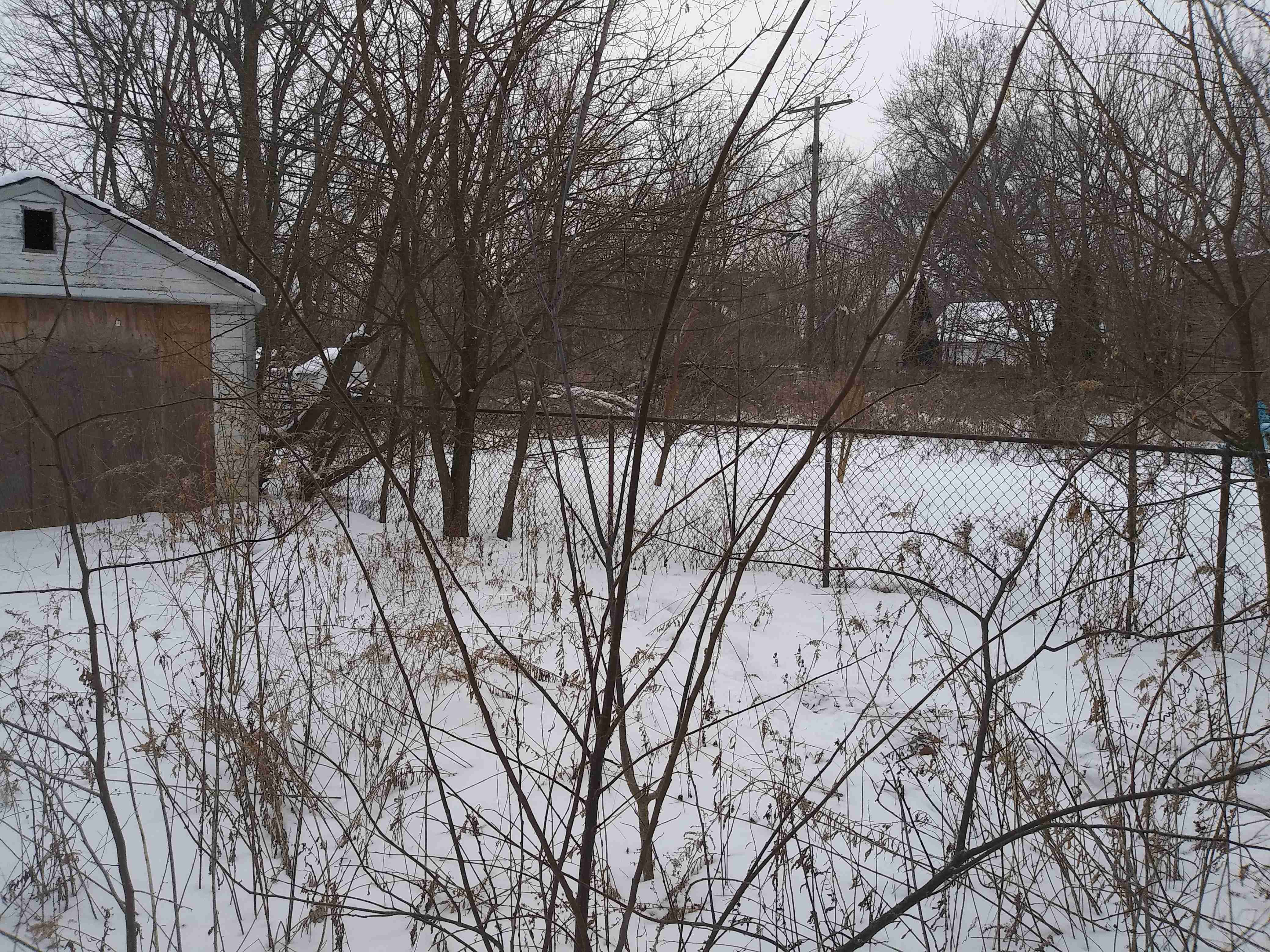 20210210_160659.jpg