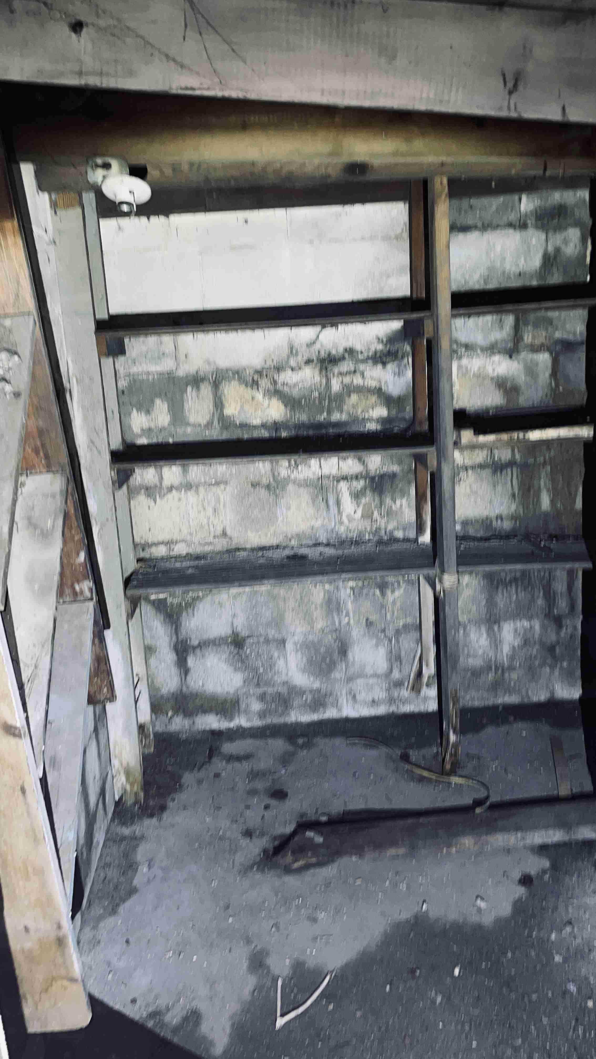 4519300_0015.jpg