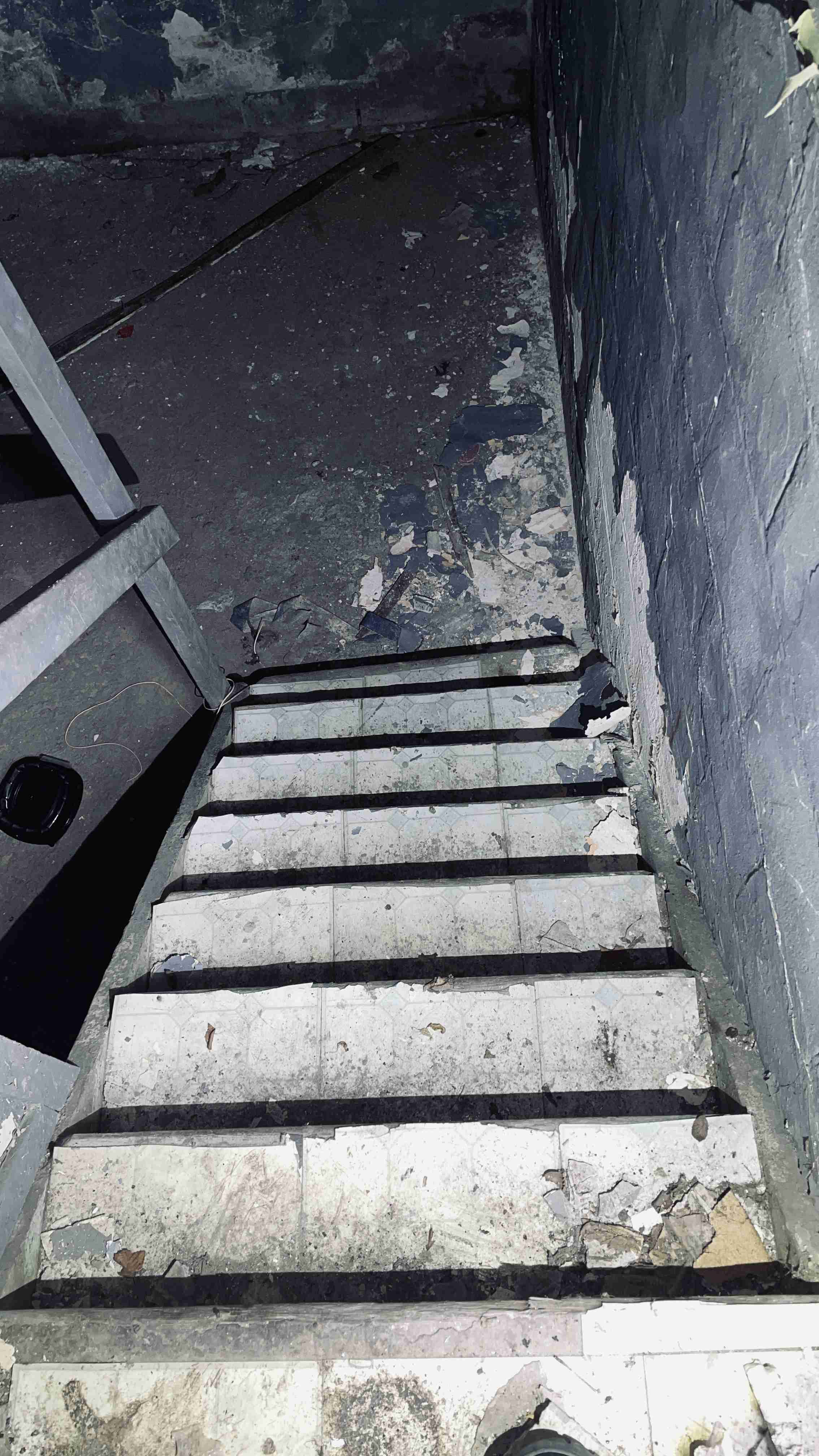 4519300_0038.jpg