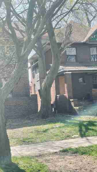 4519245_0014.jpg