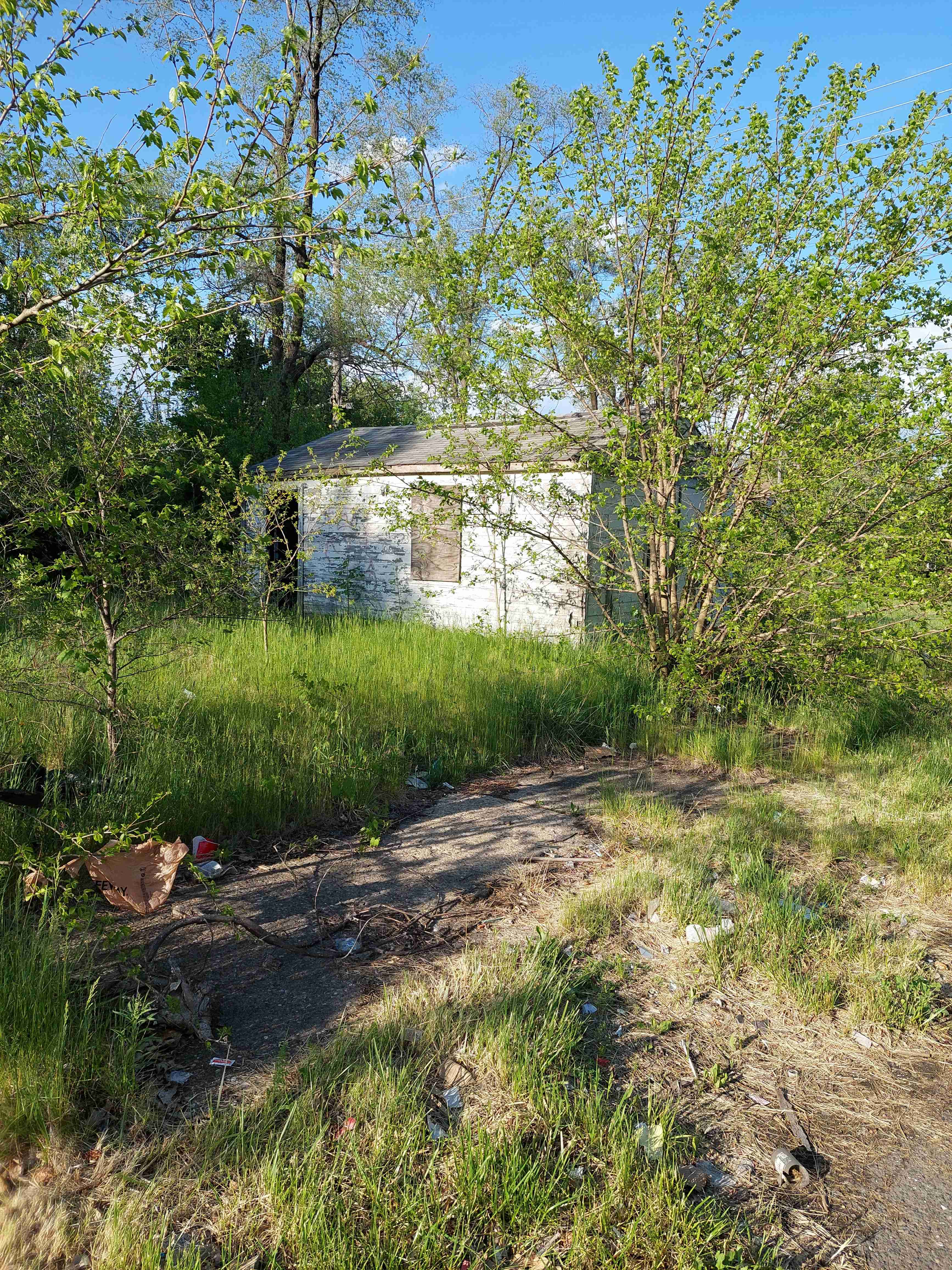 4524187_0005.jpg