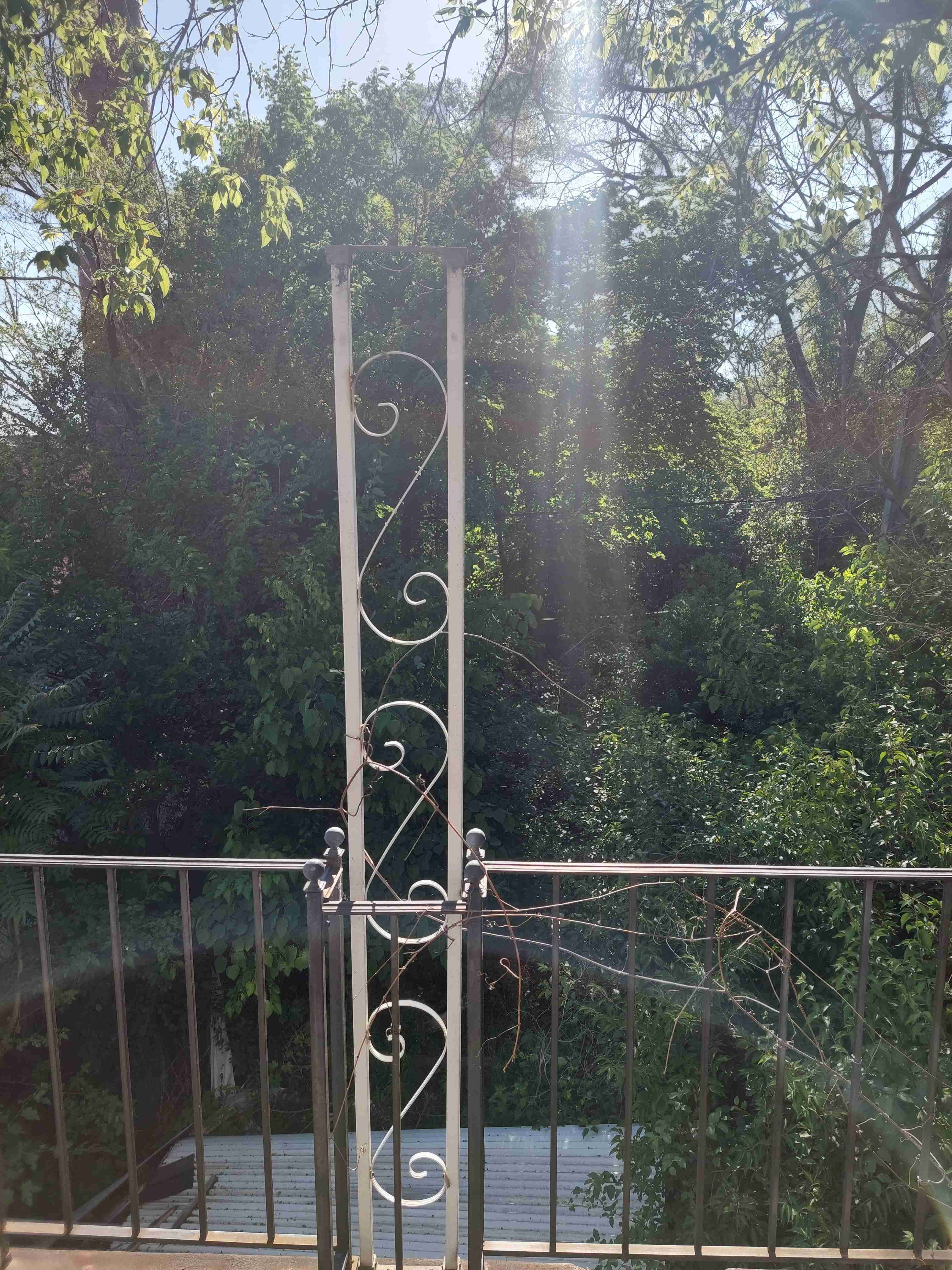 4533777_0004.jpg