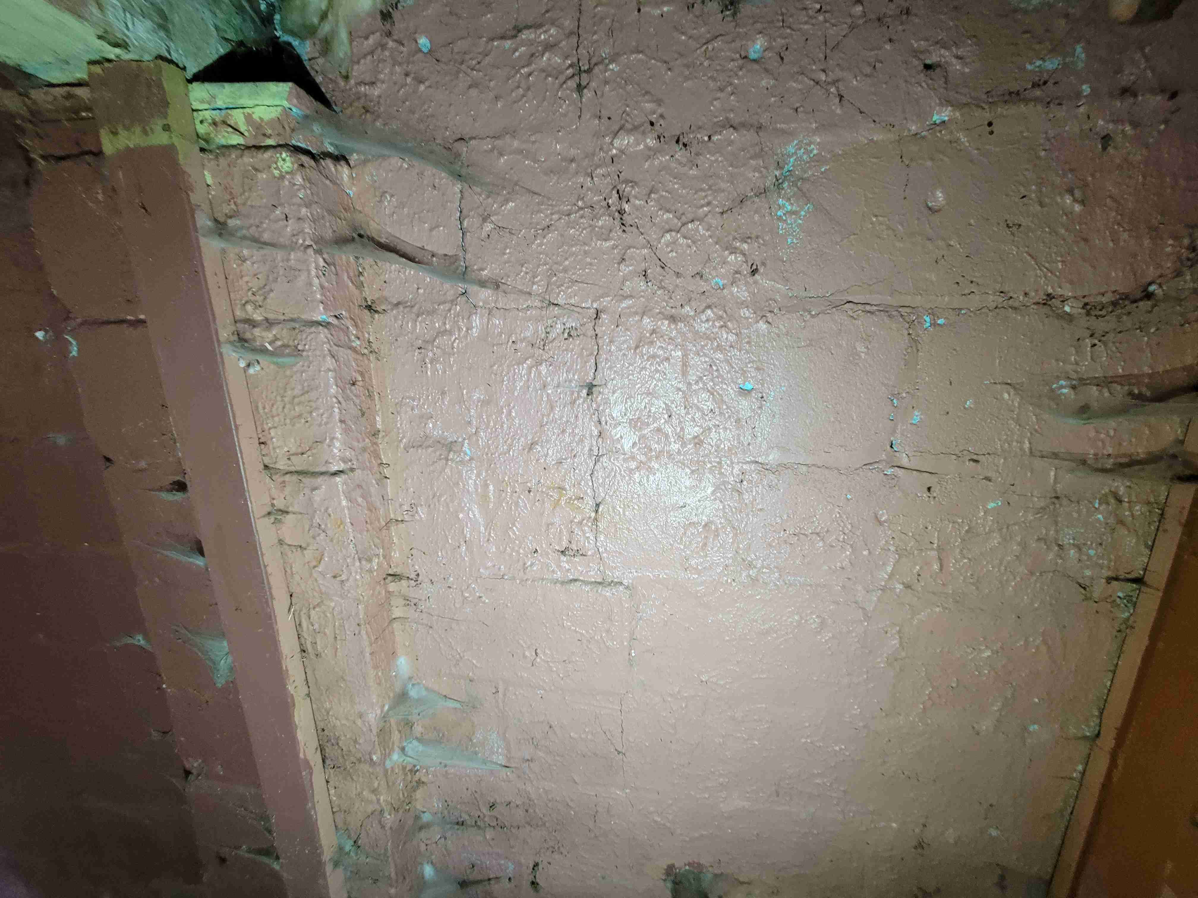 20220909_125045.jpg