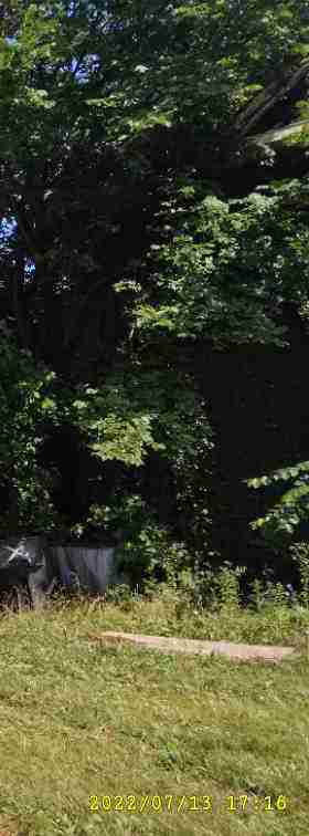 3070326-1_003_edited.jpg