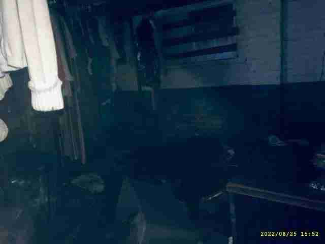3072420-1_032.jpg