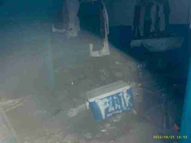 3072420-1_033.jpg