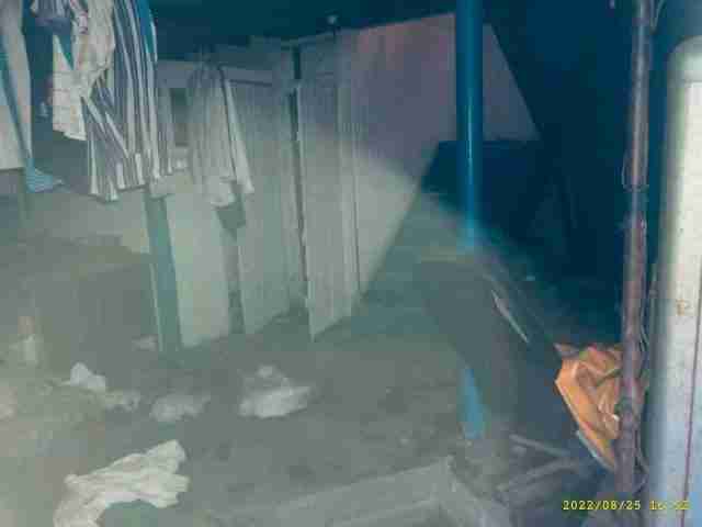 3072420-1_034.jpg