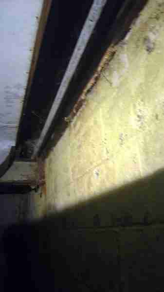 WIN_20220913_13_53_08_Pro.jpg