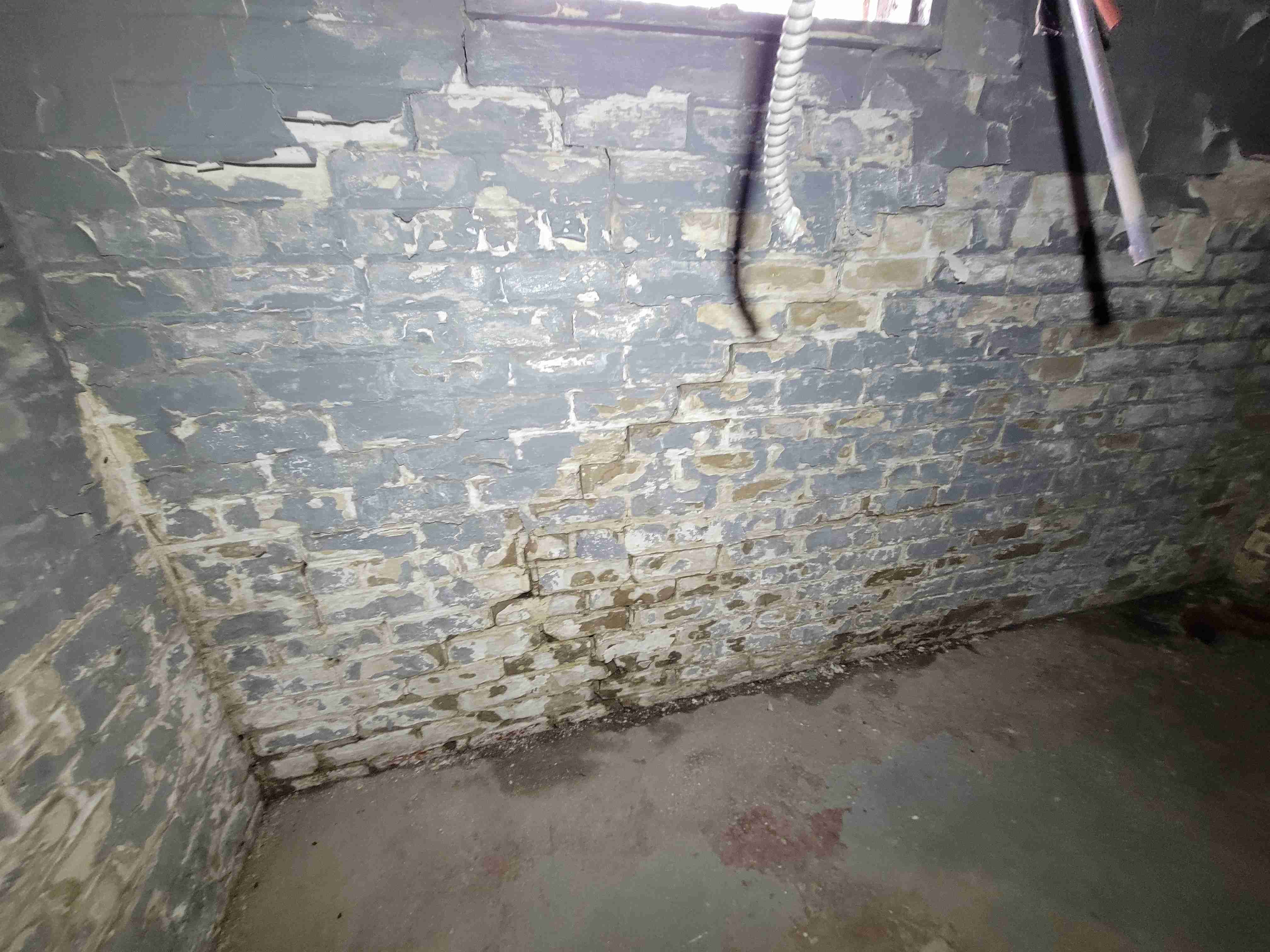 20220922_121155.jpg
