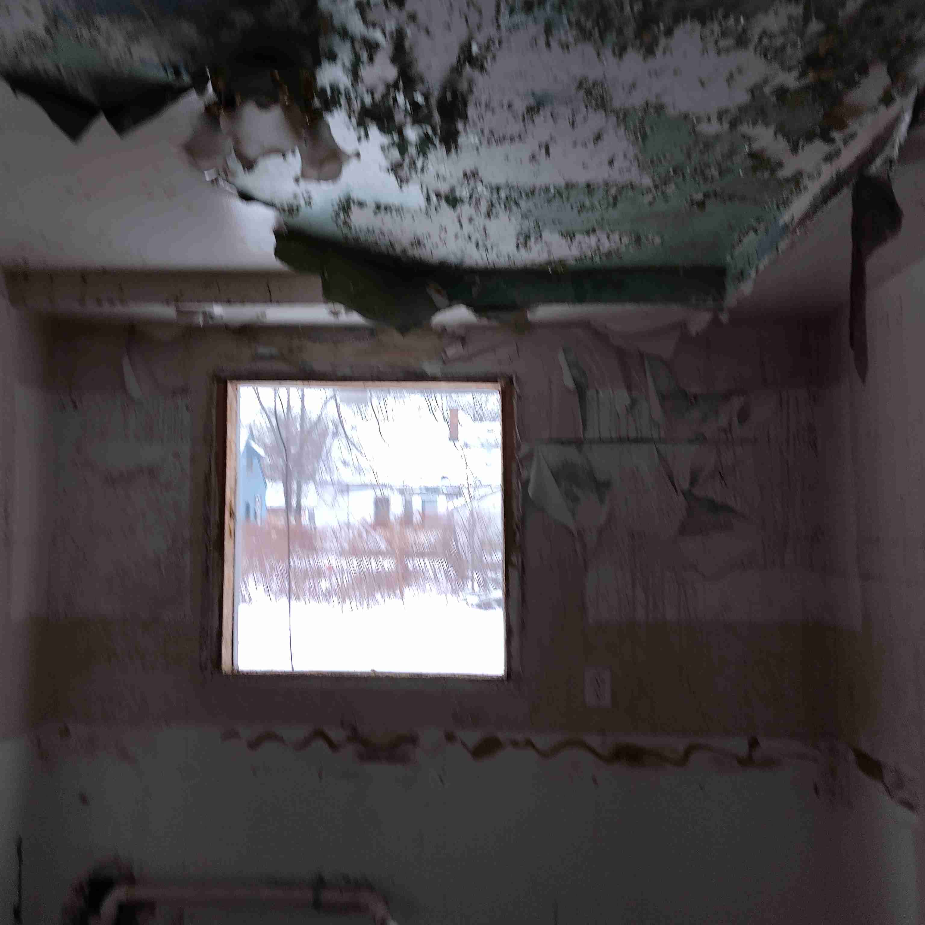 IMG_20250116_143329_HDR.jpg