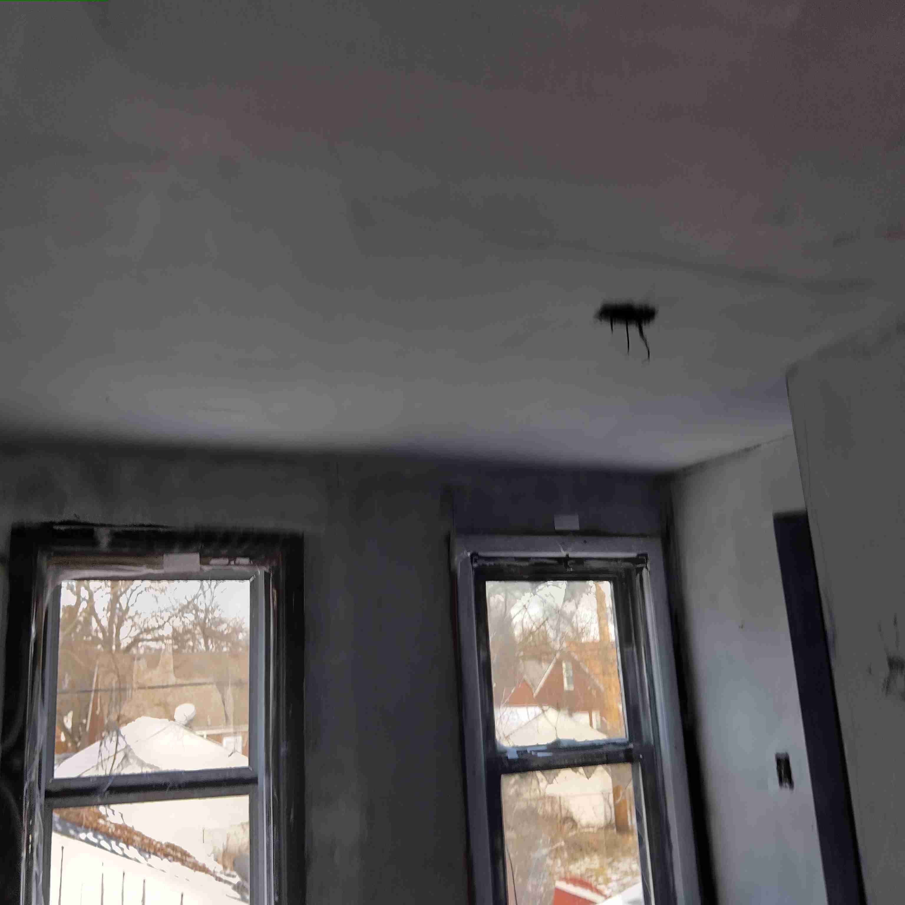 IMG_20250210_134924_HDR.jpg