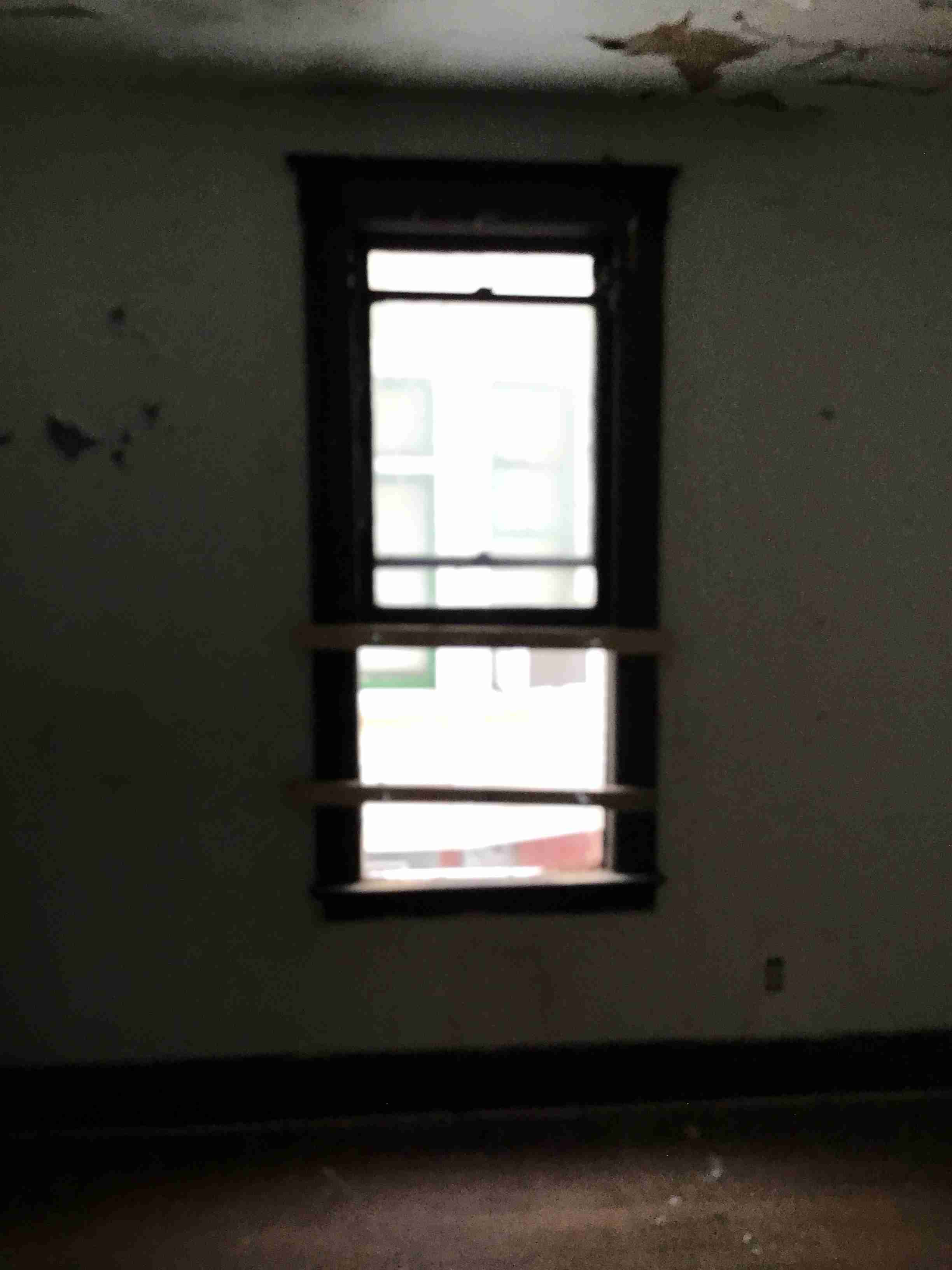 IMG_1658.jpeg