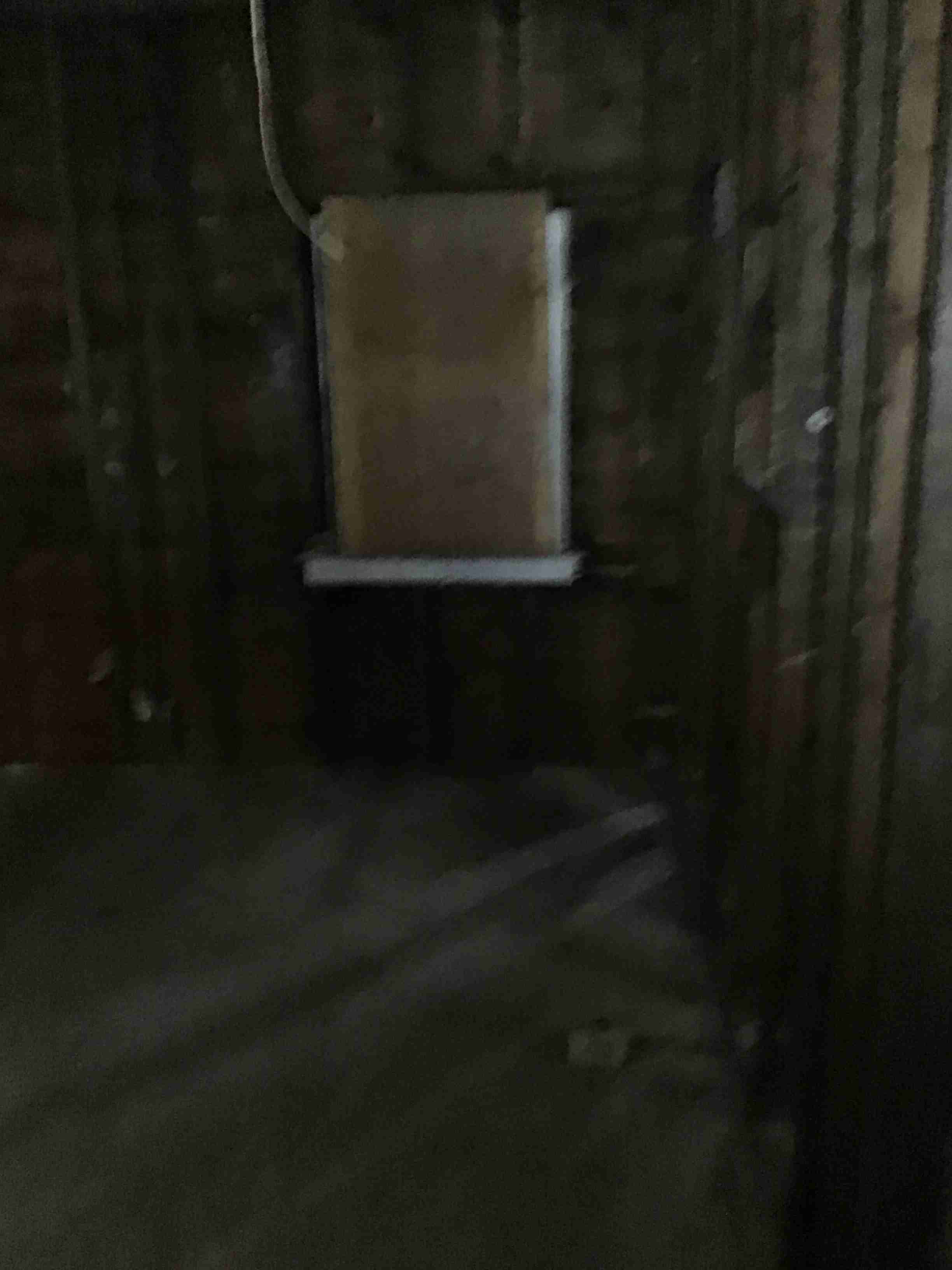 IMG_2699.jpeg