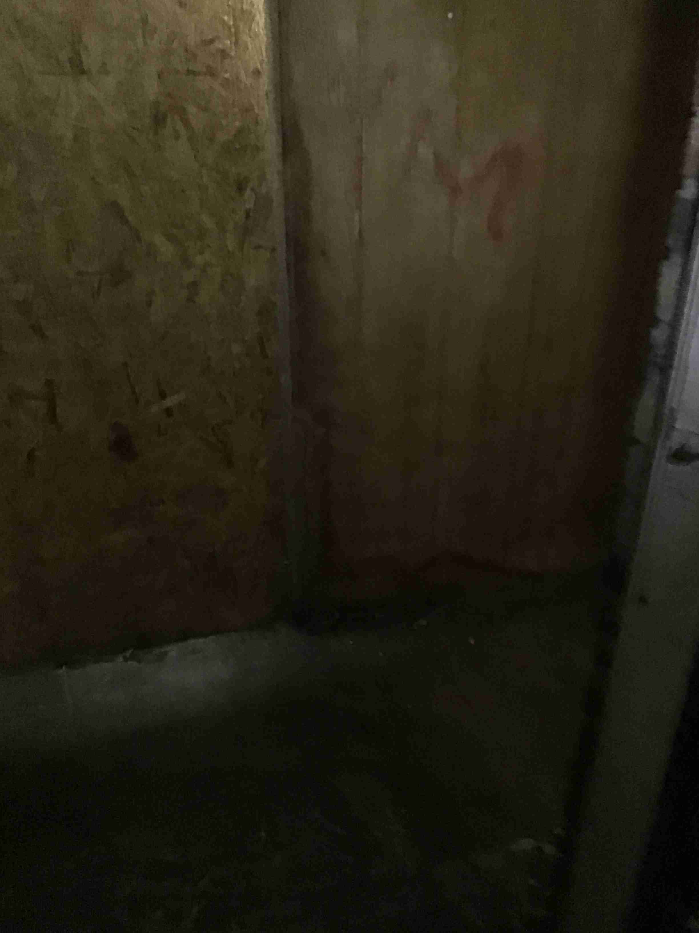 IMG_2708.jpeg