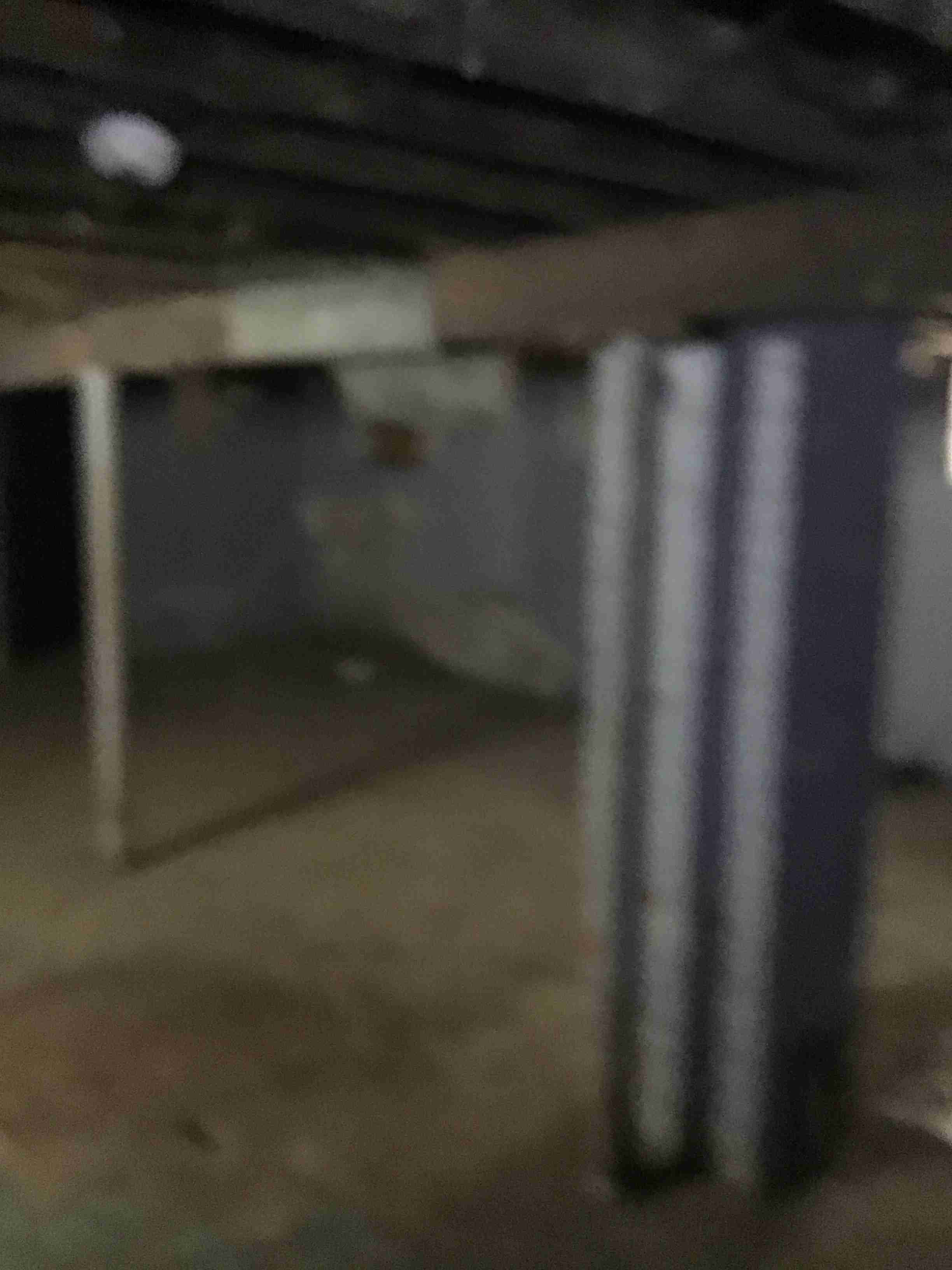 IMG_2713.jpeg