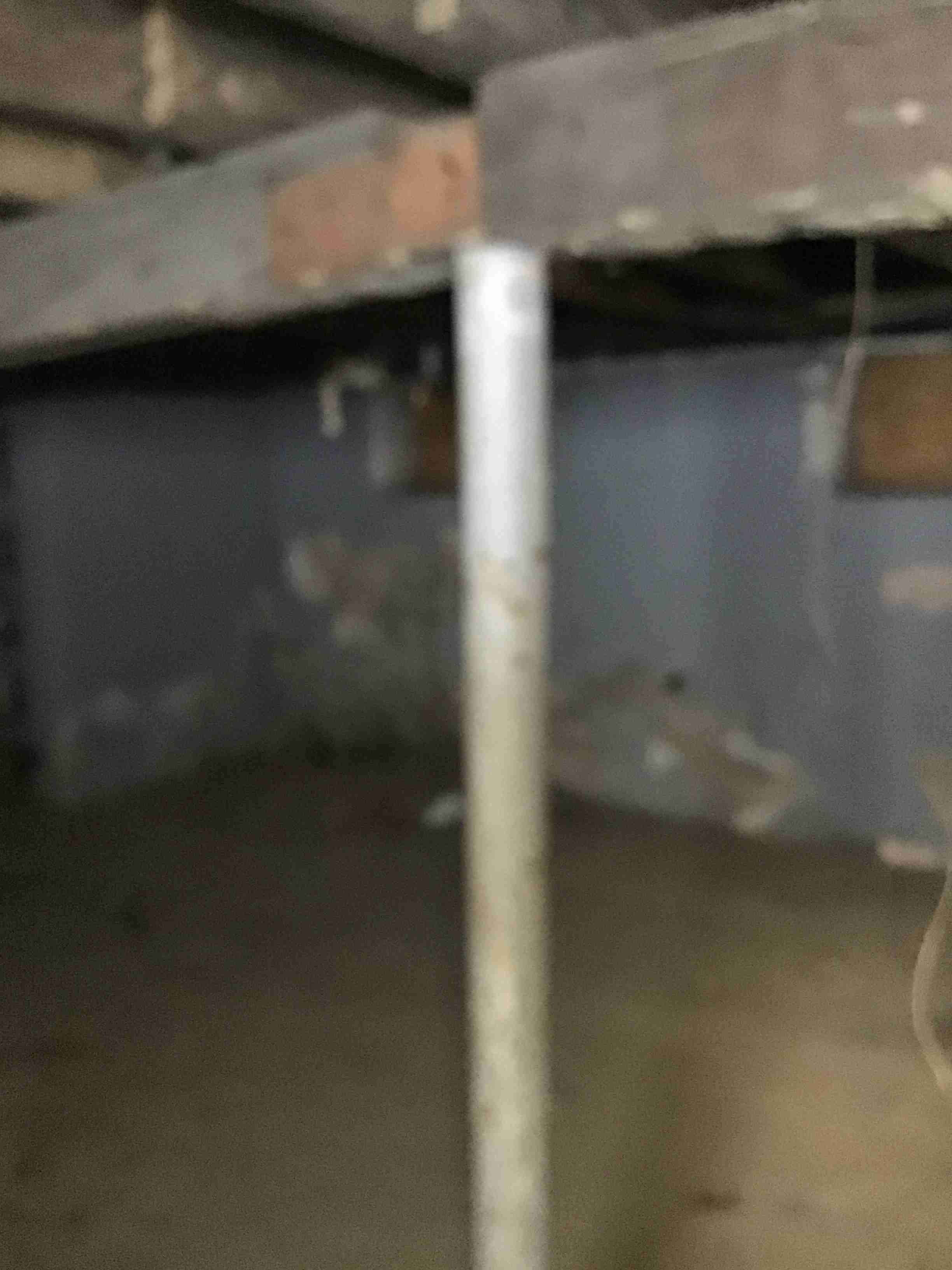 IMG_2715.jpeg