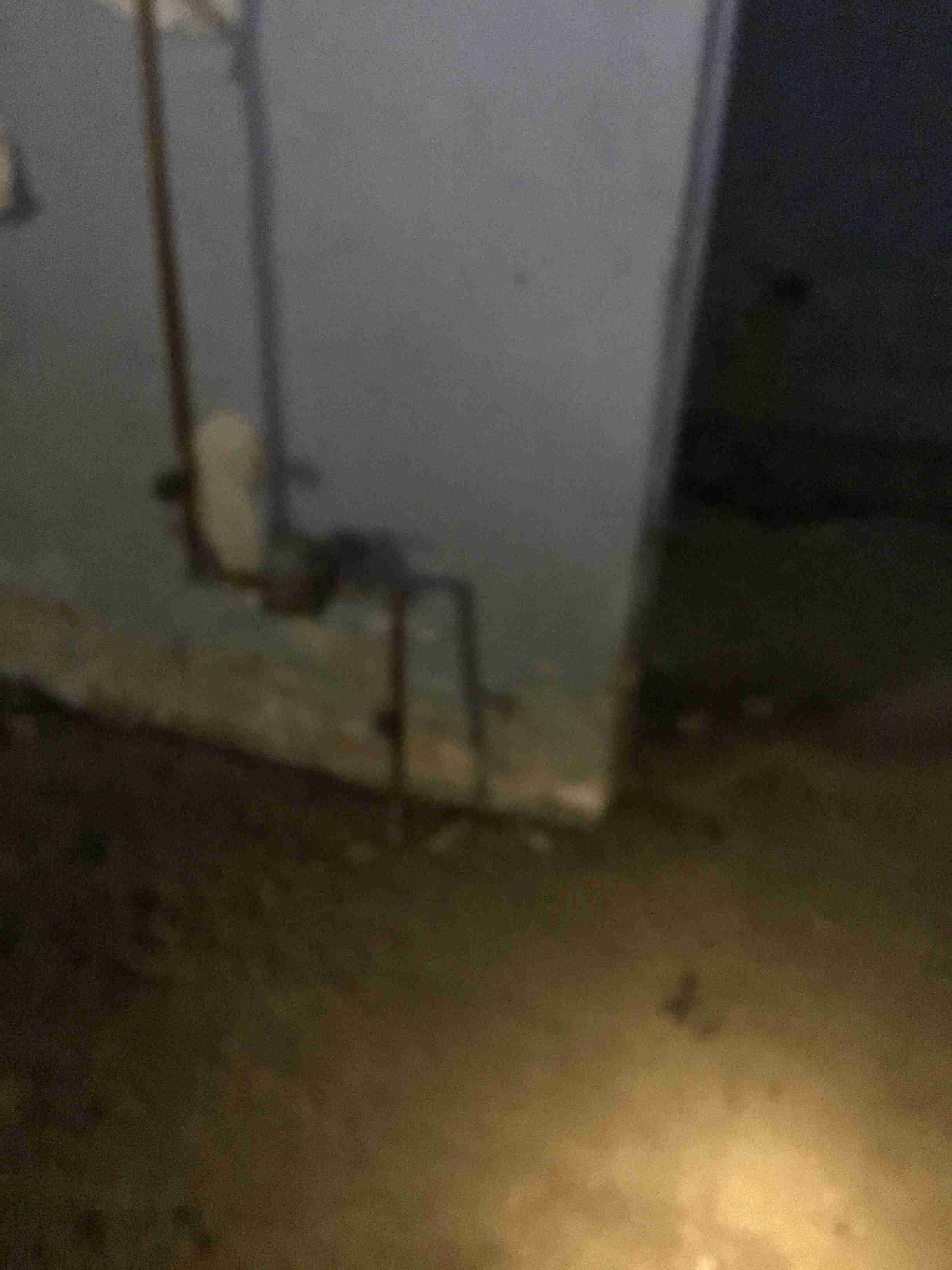 IMG_2726.jpeg