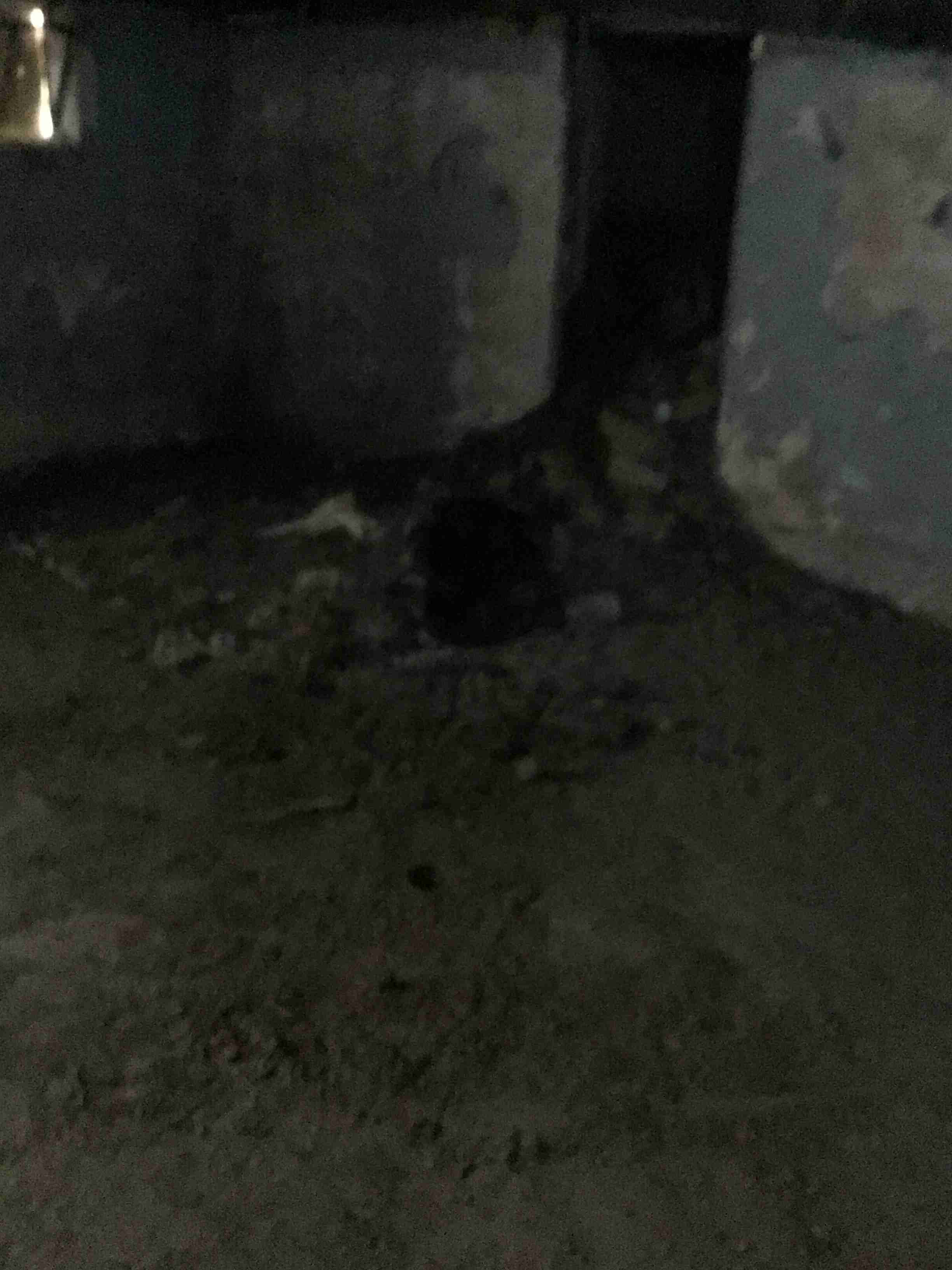 IMG_2727.jpeg
