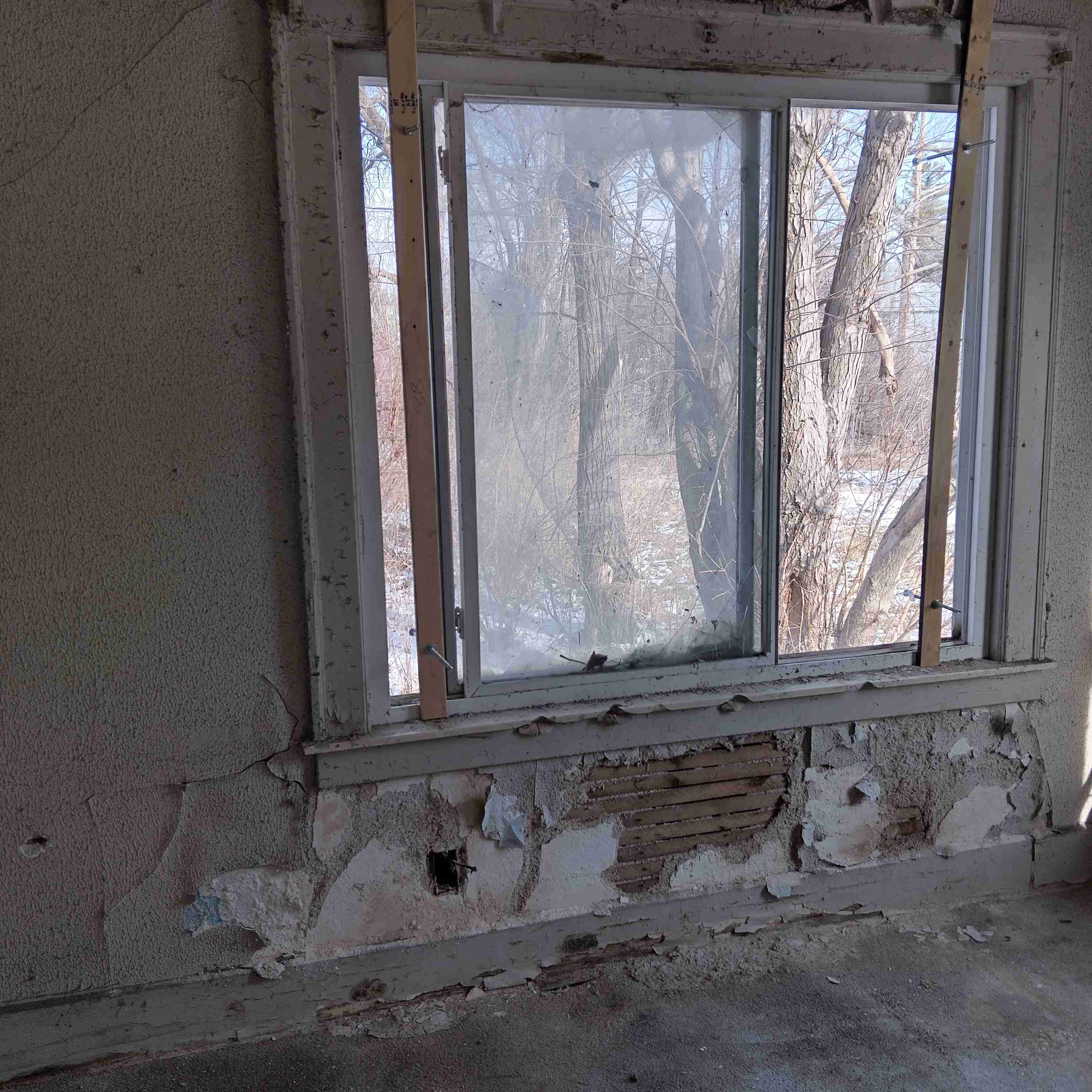 IMG_20250211_113406_HDR.jpg