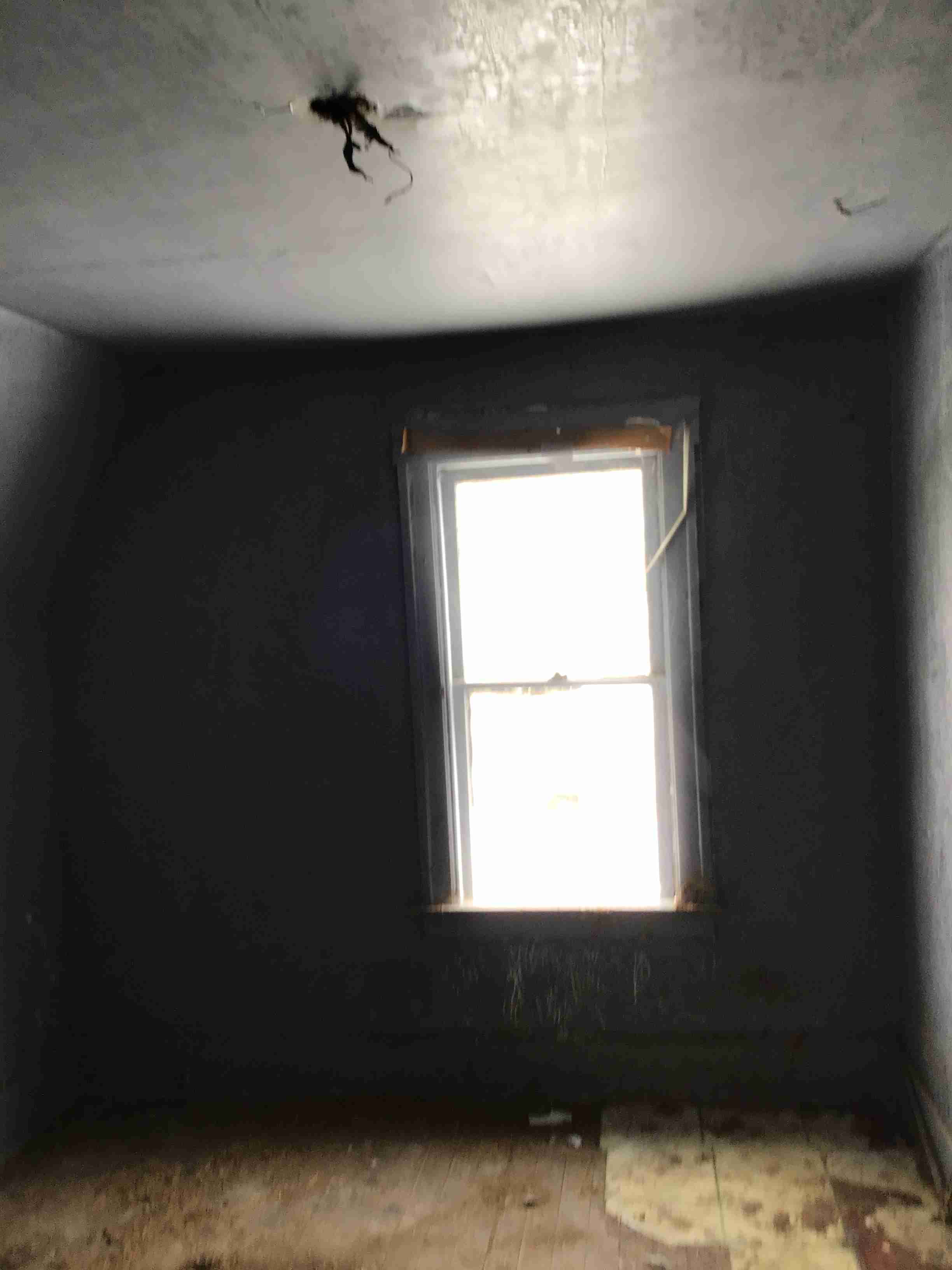 IMG_2103.jpeg
