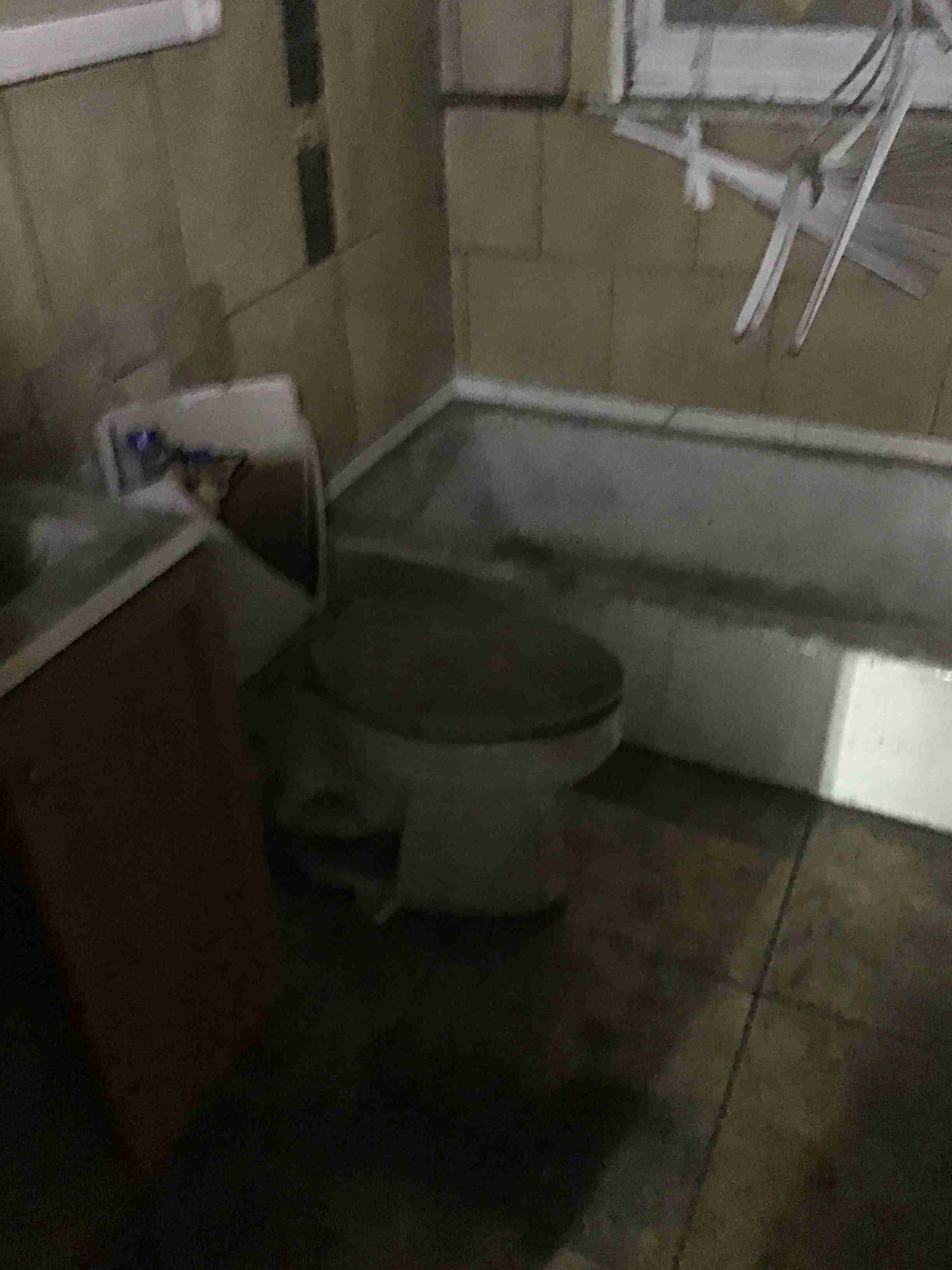 IMG_2204.jpeg