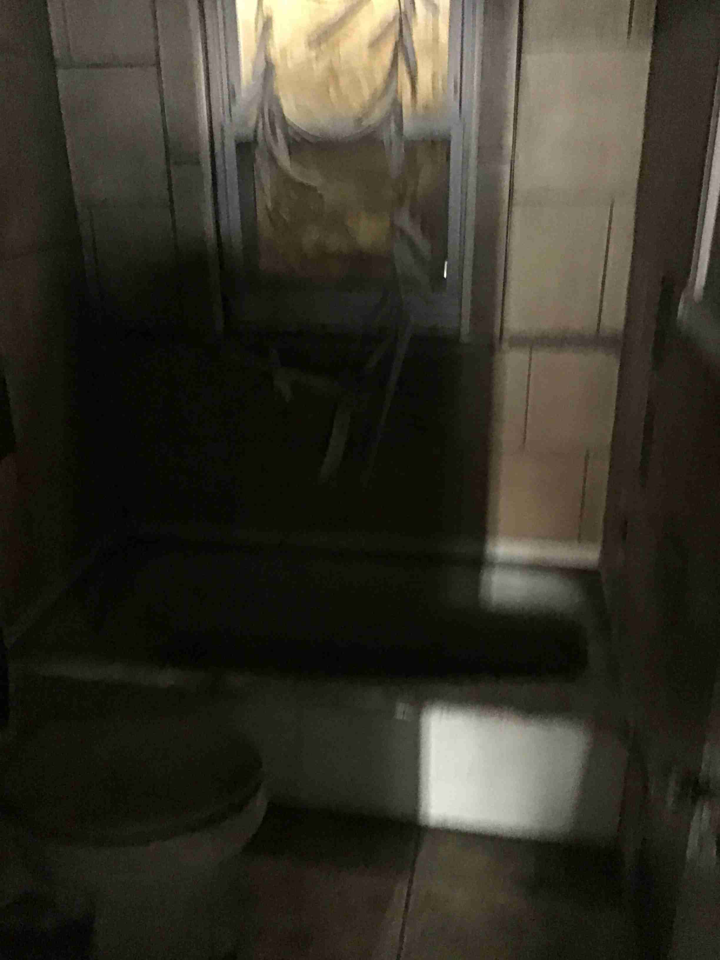 IMG_2205.jpeg