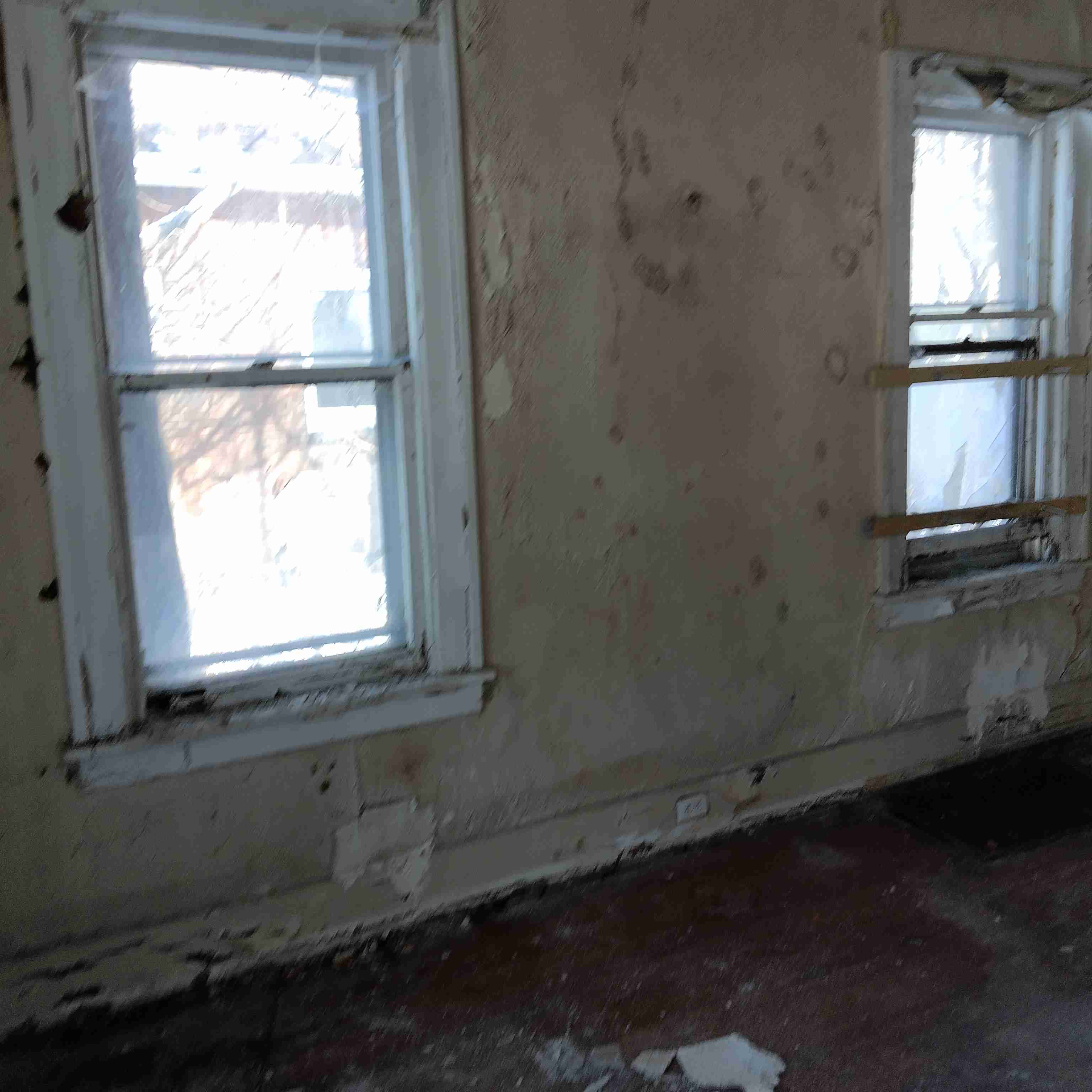 IMG_20250211_140219_HDR.jpg