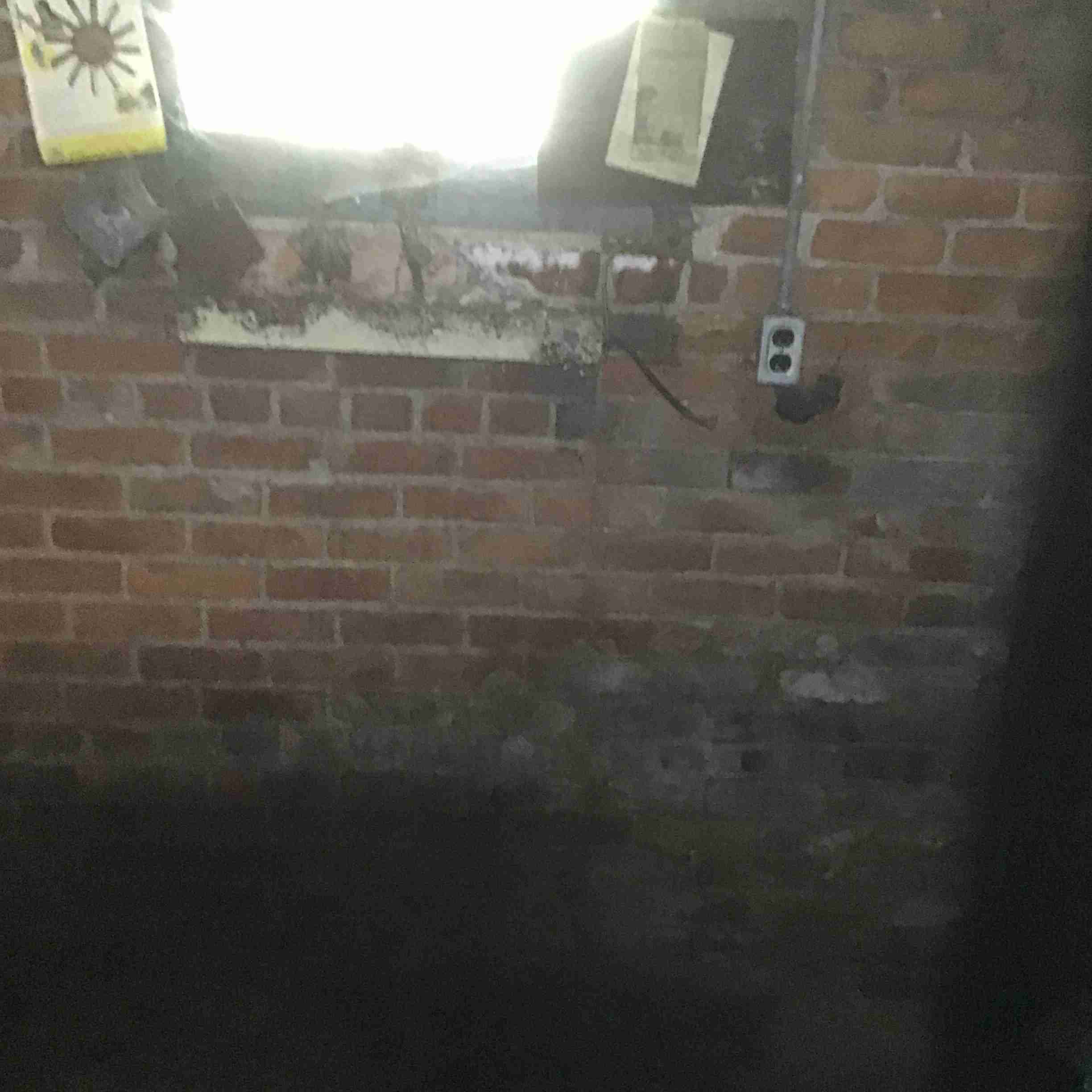 IMG_3675.jpeg
