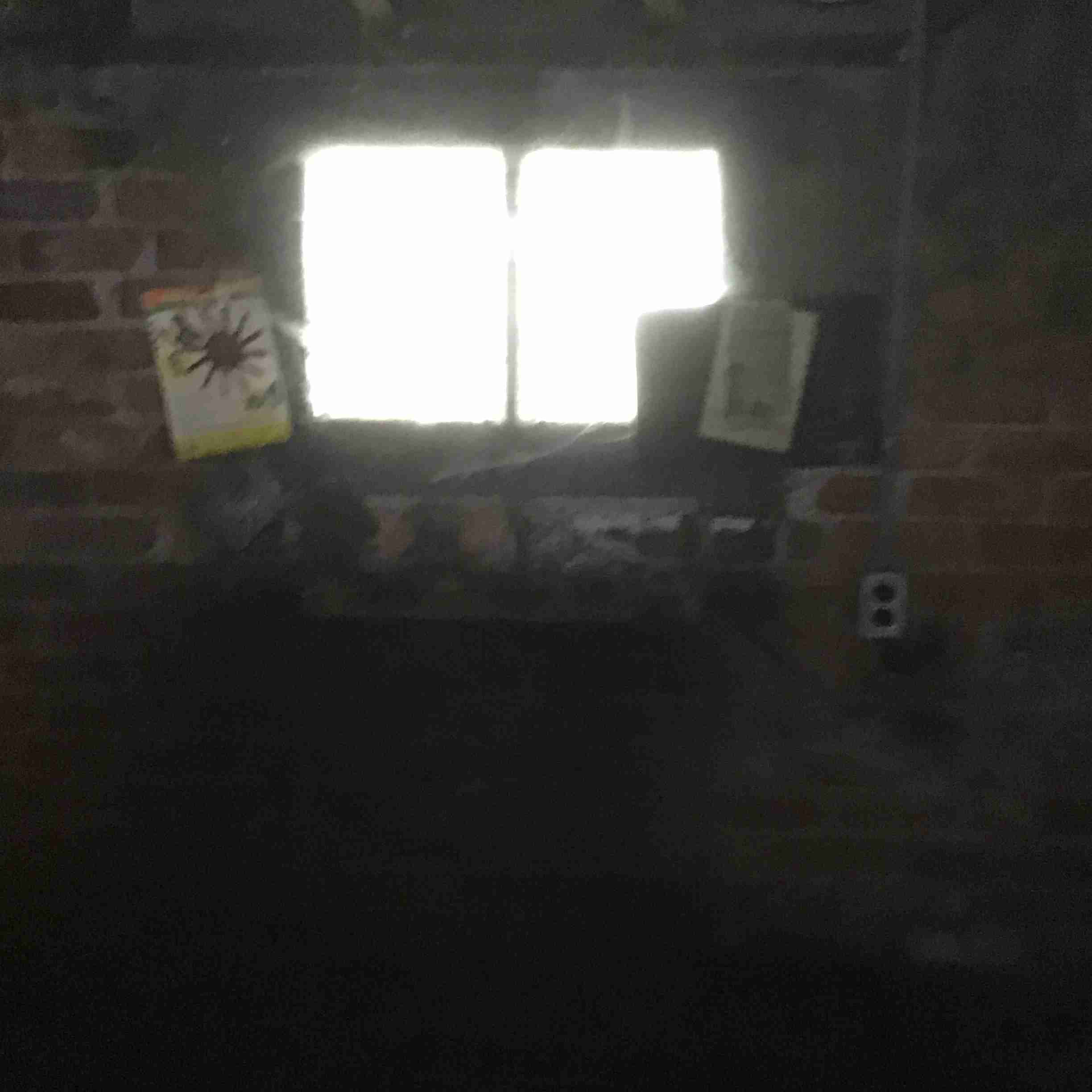 IMG_3676.jpeg