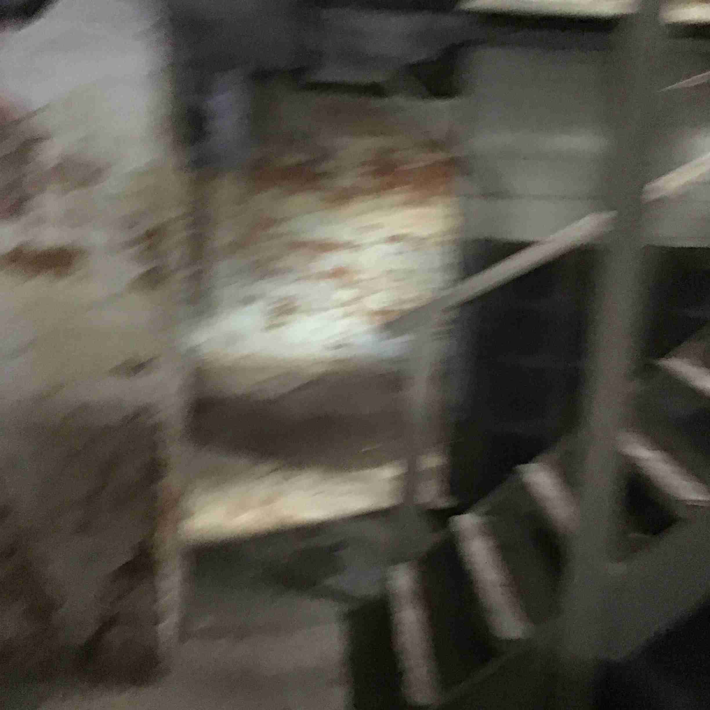 IMG_3677.jpeg
