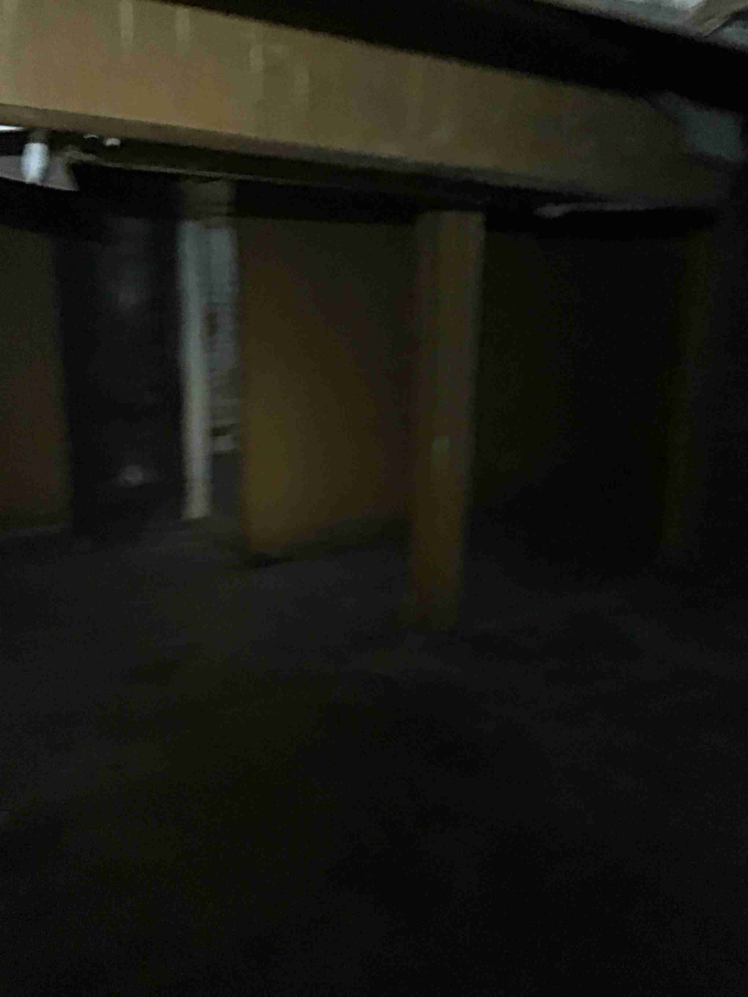 IMG_4381.jpeg