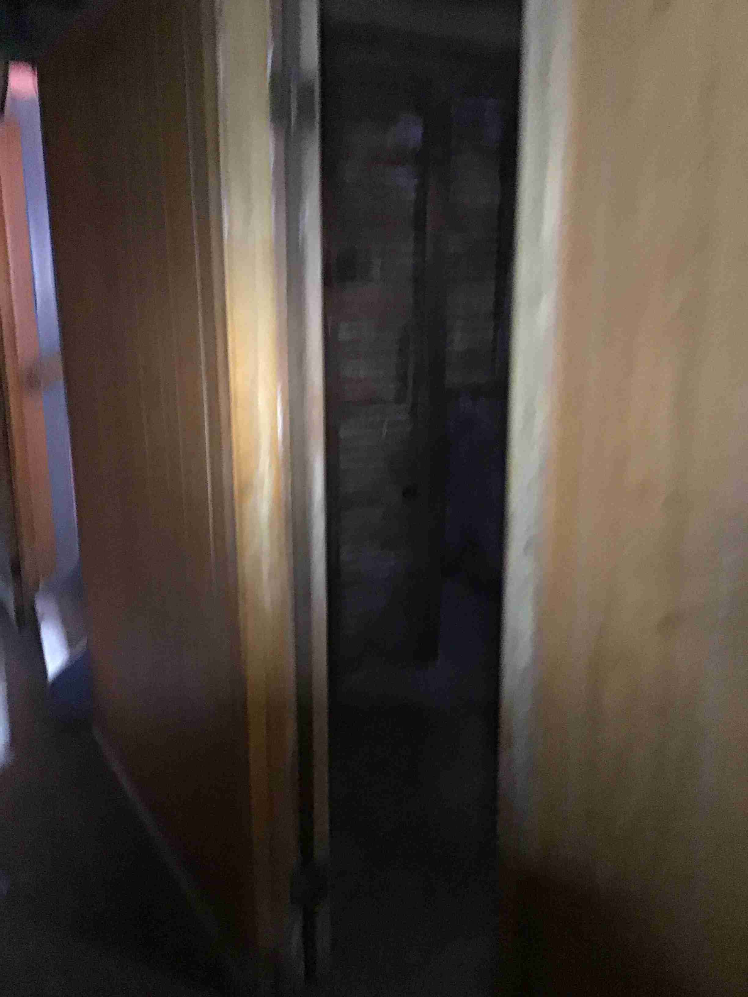 IMG_4383.jpeg
