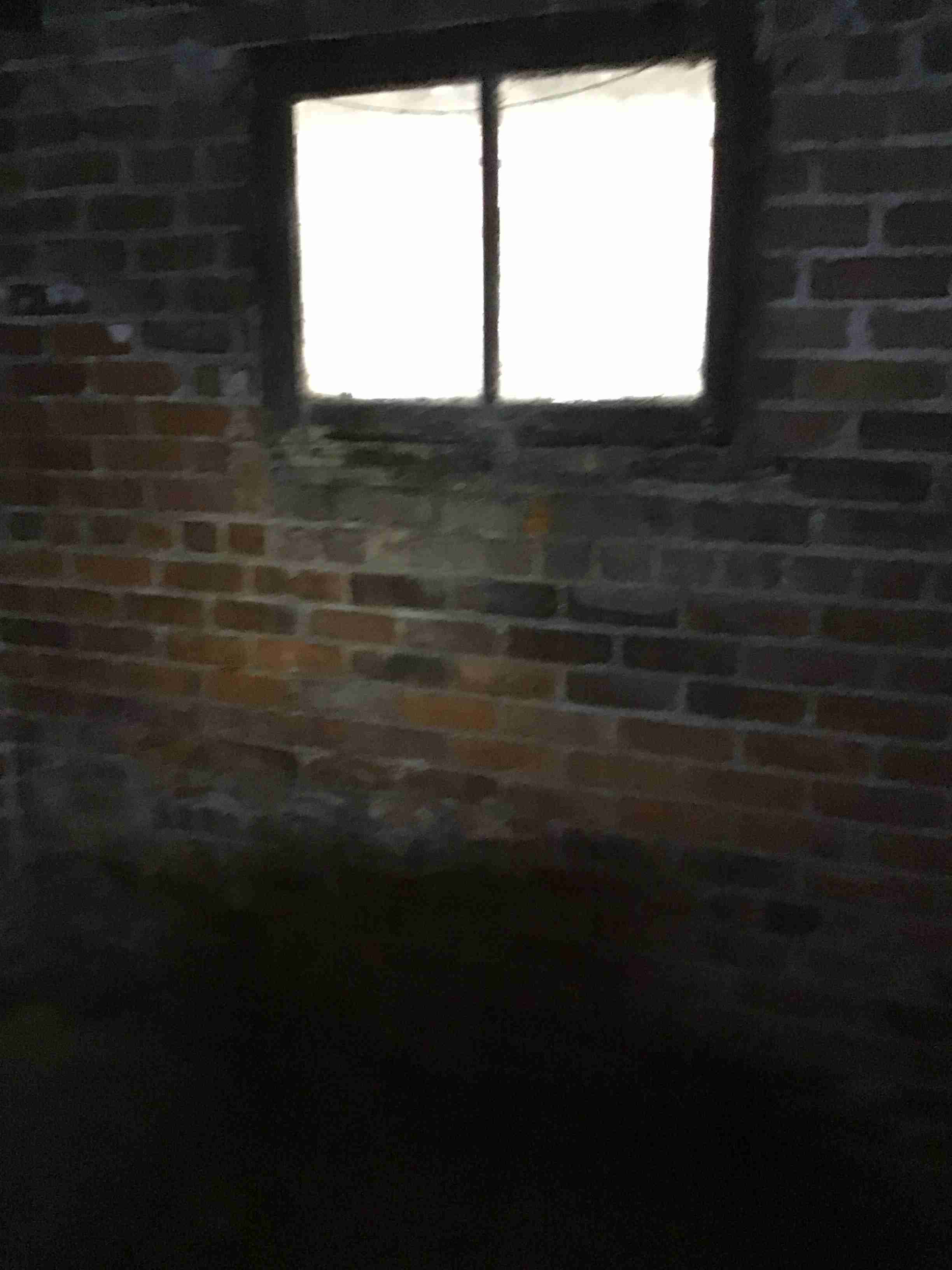 IMG_4384.jpeg