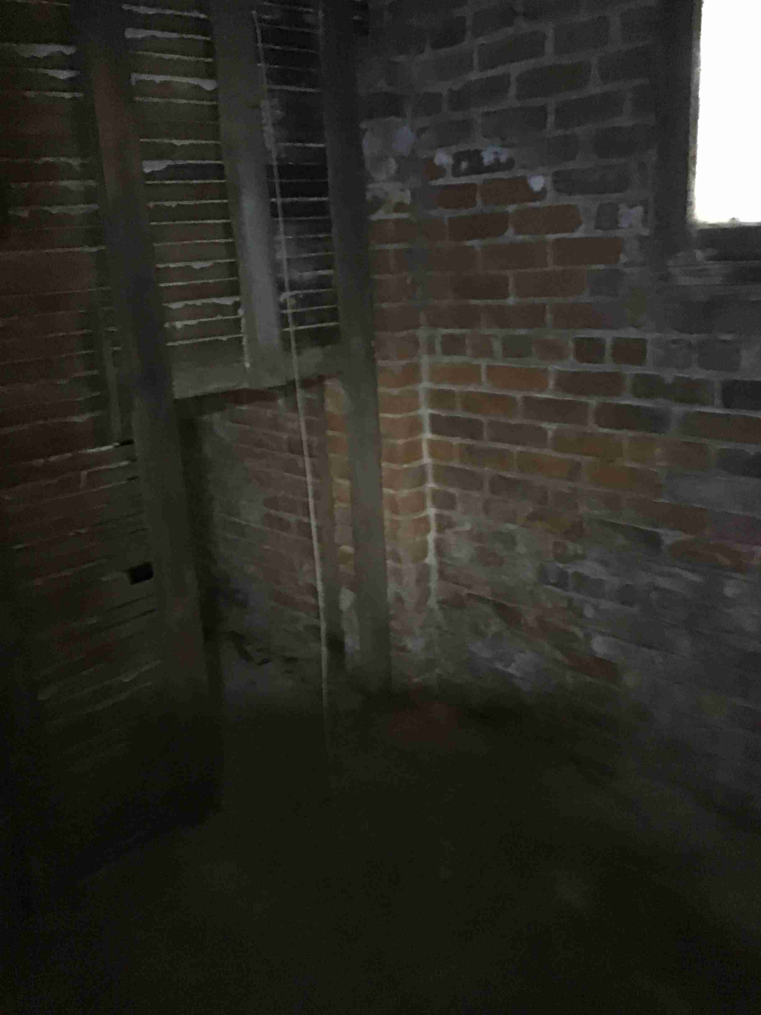 IMG_4385.jpeg