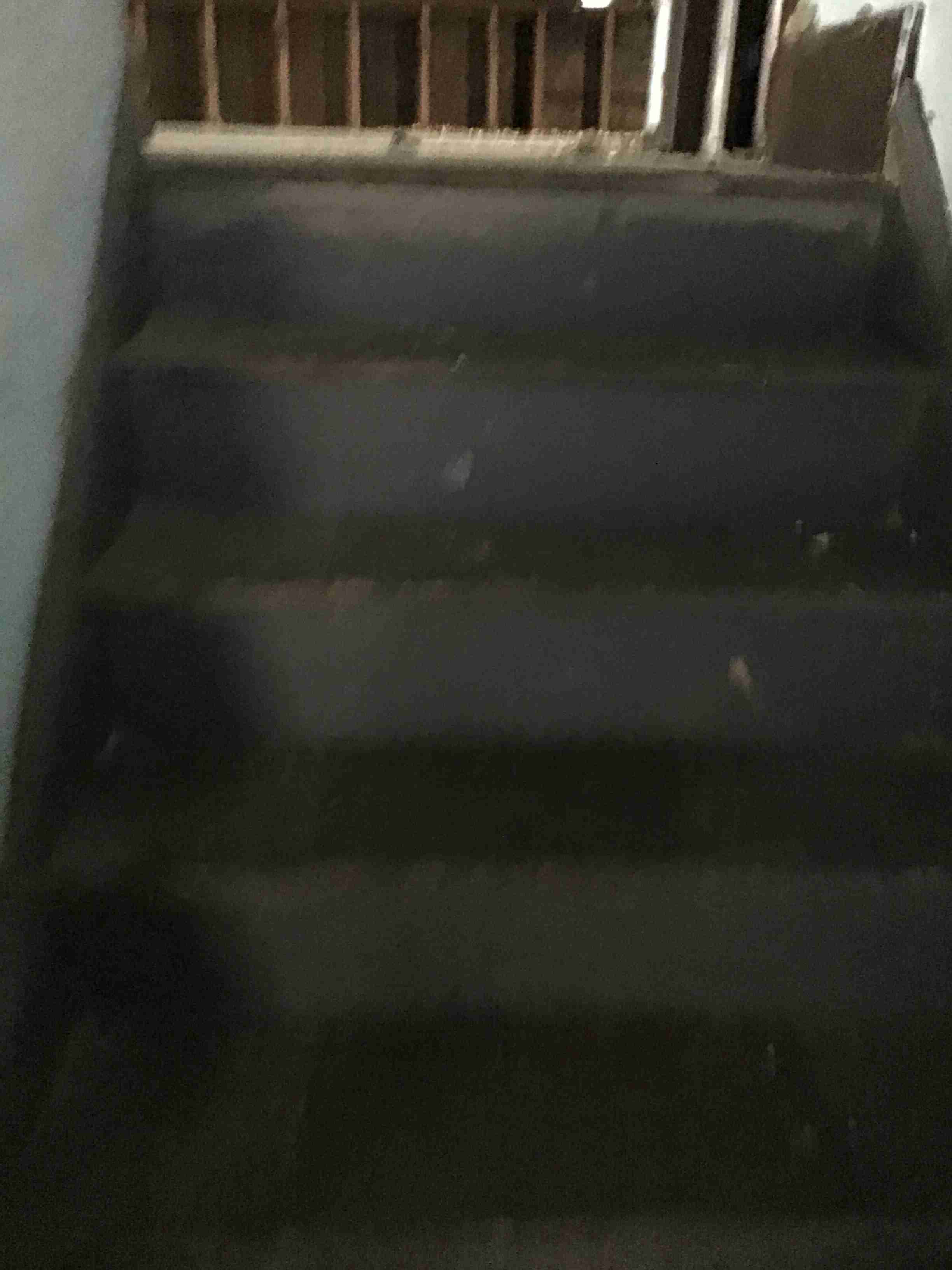 IMG_4414.jpeg
