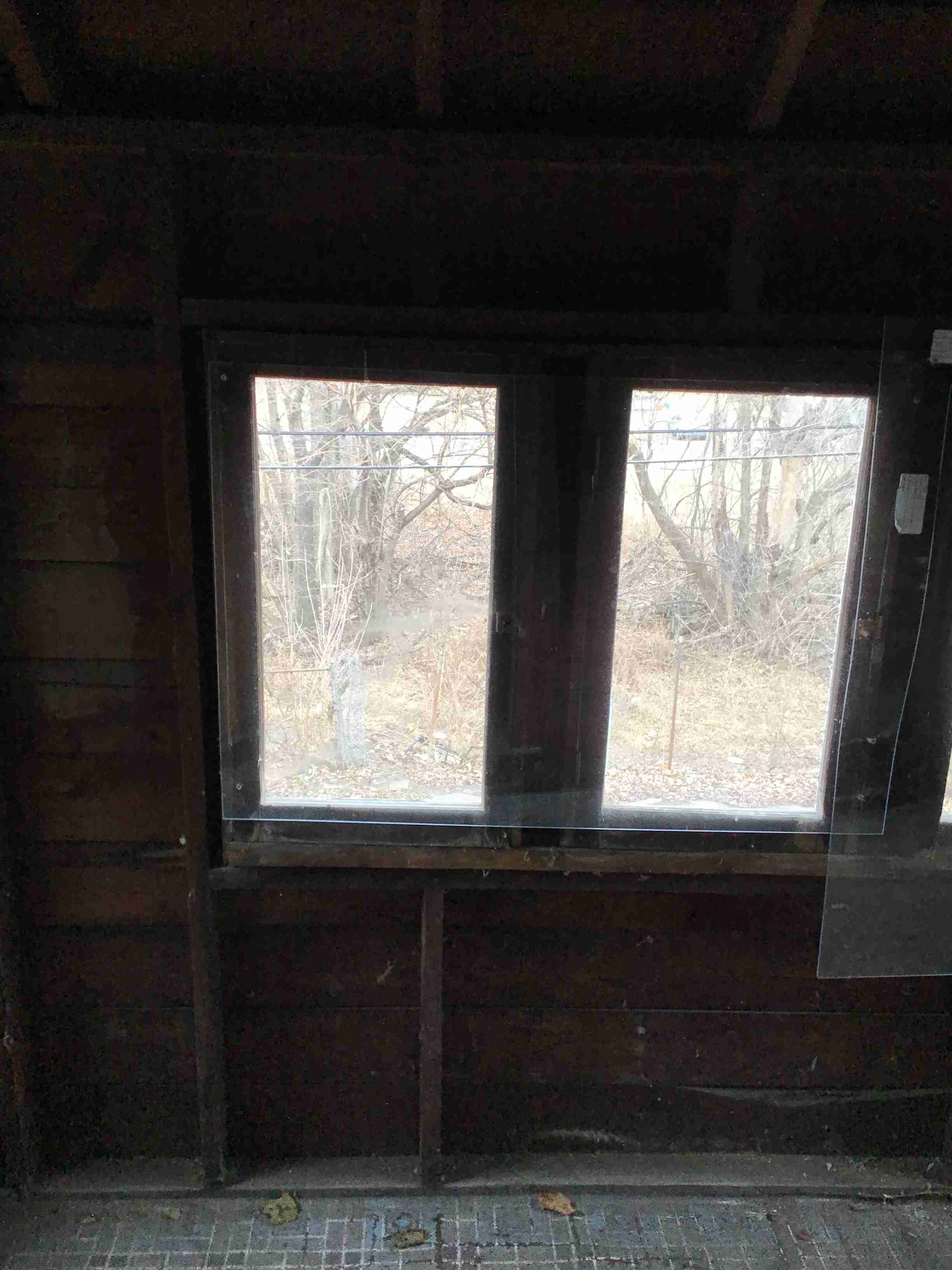 IMG_4418.jpeg
