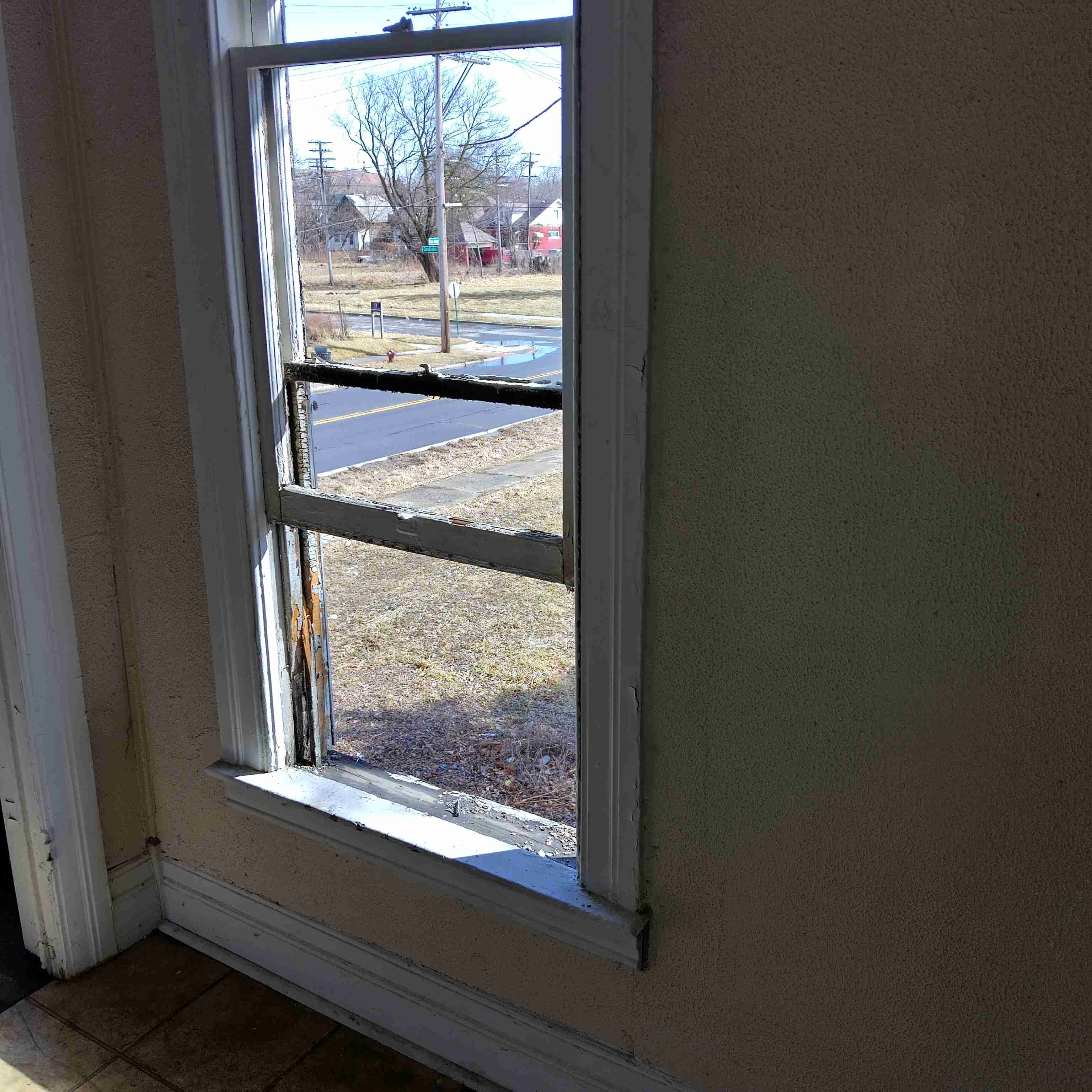 IMG_20250305_133826_HDR.jpg