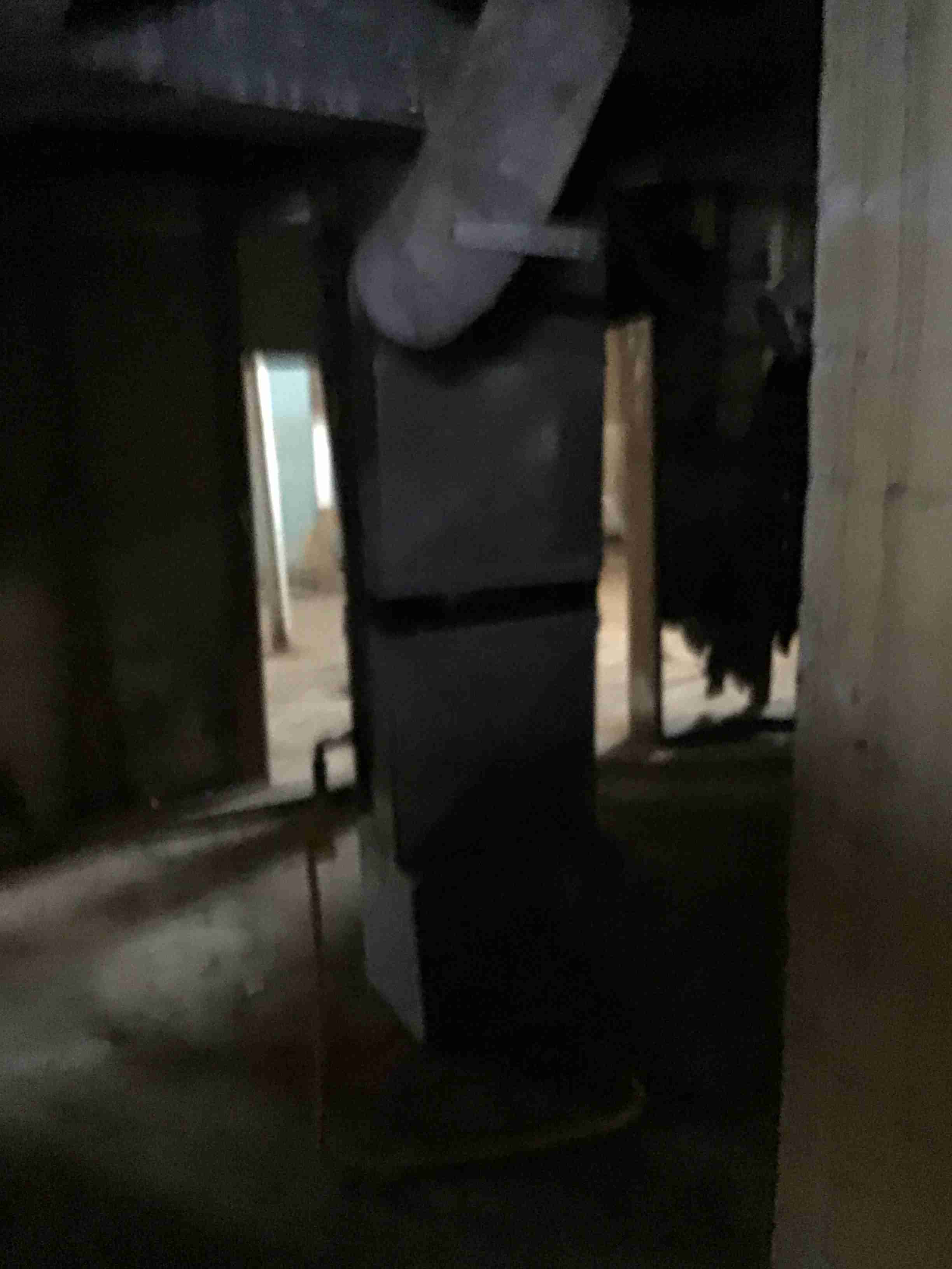 IMG_3053.jpeg