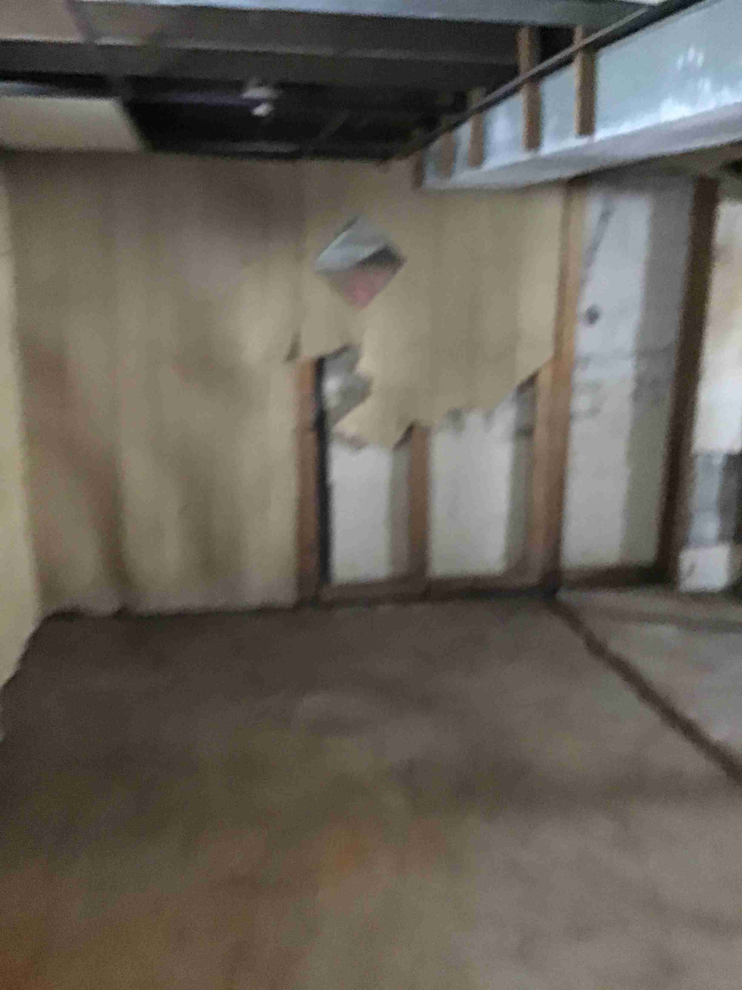 IMG_3056.jpeg