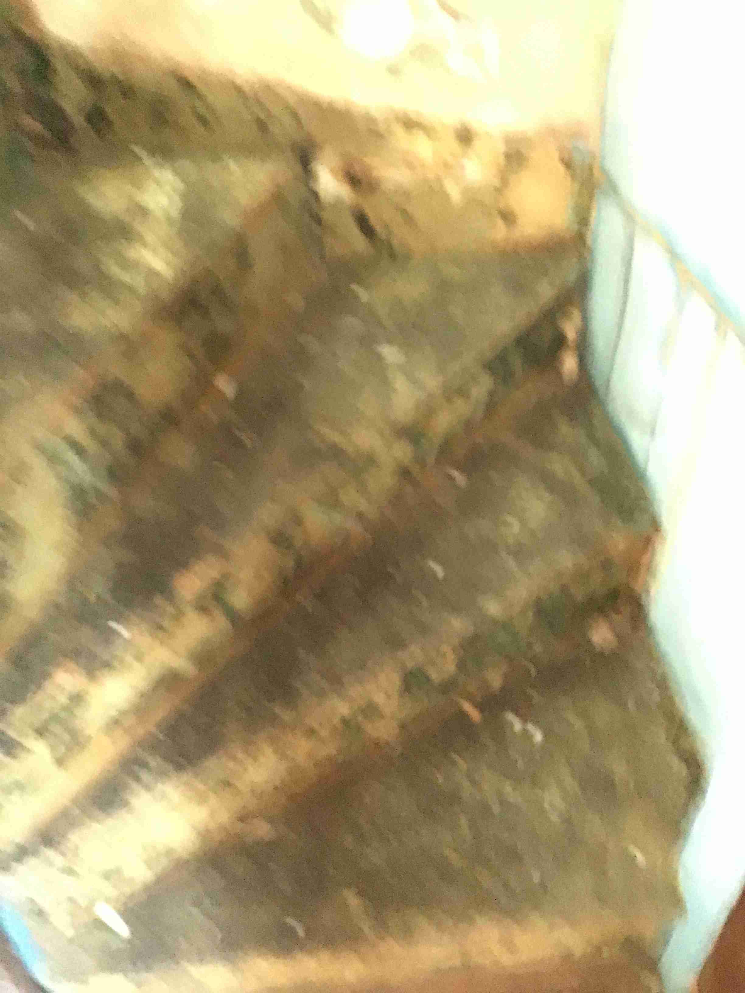 IMG_3062.jpeg