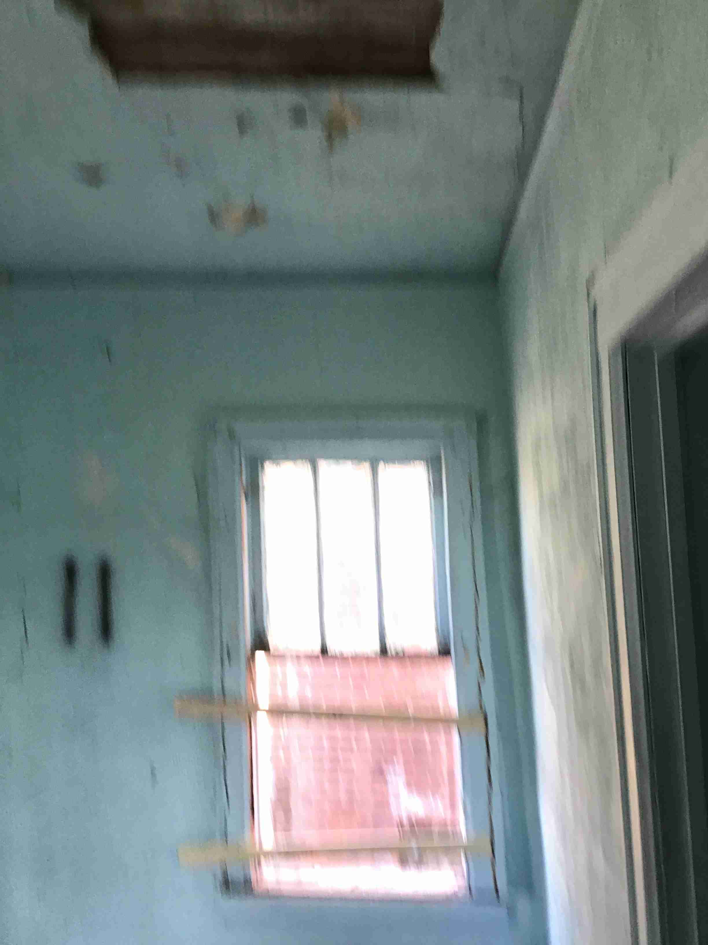 IMG_5881.jpeg