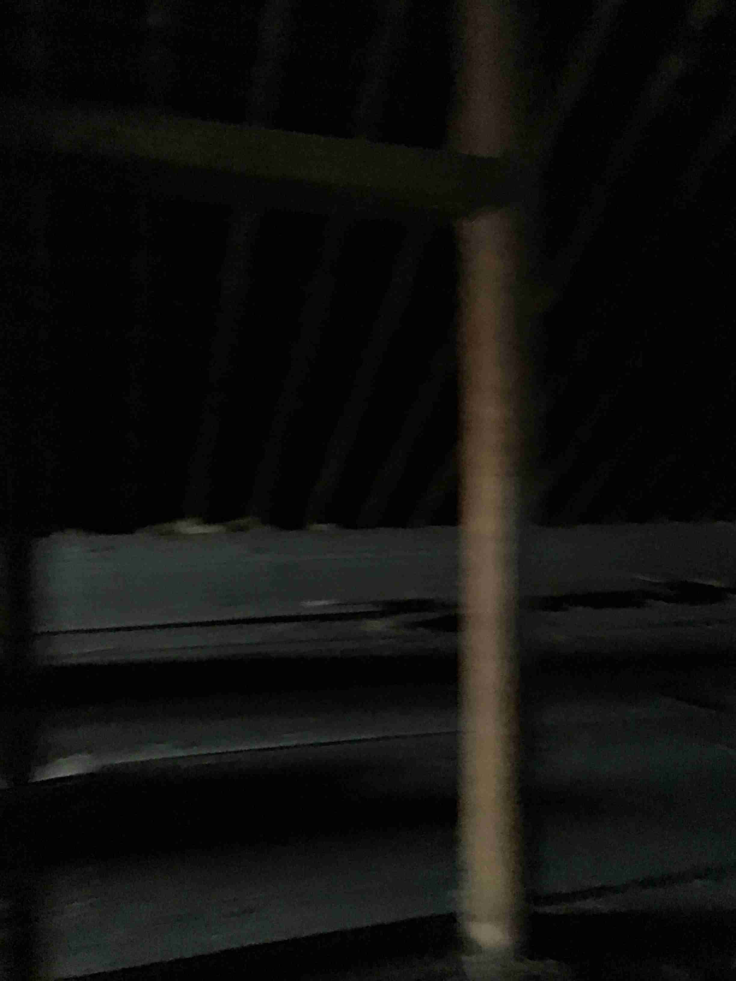 IMG_5919.jpeg