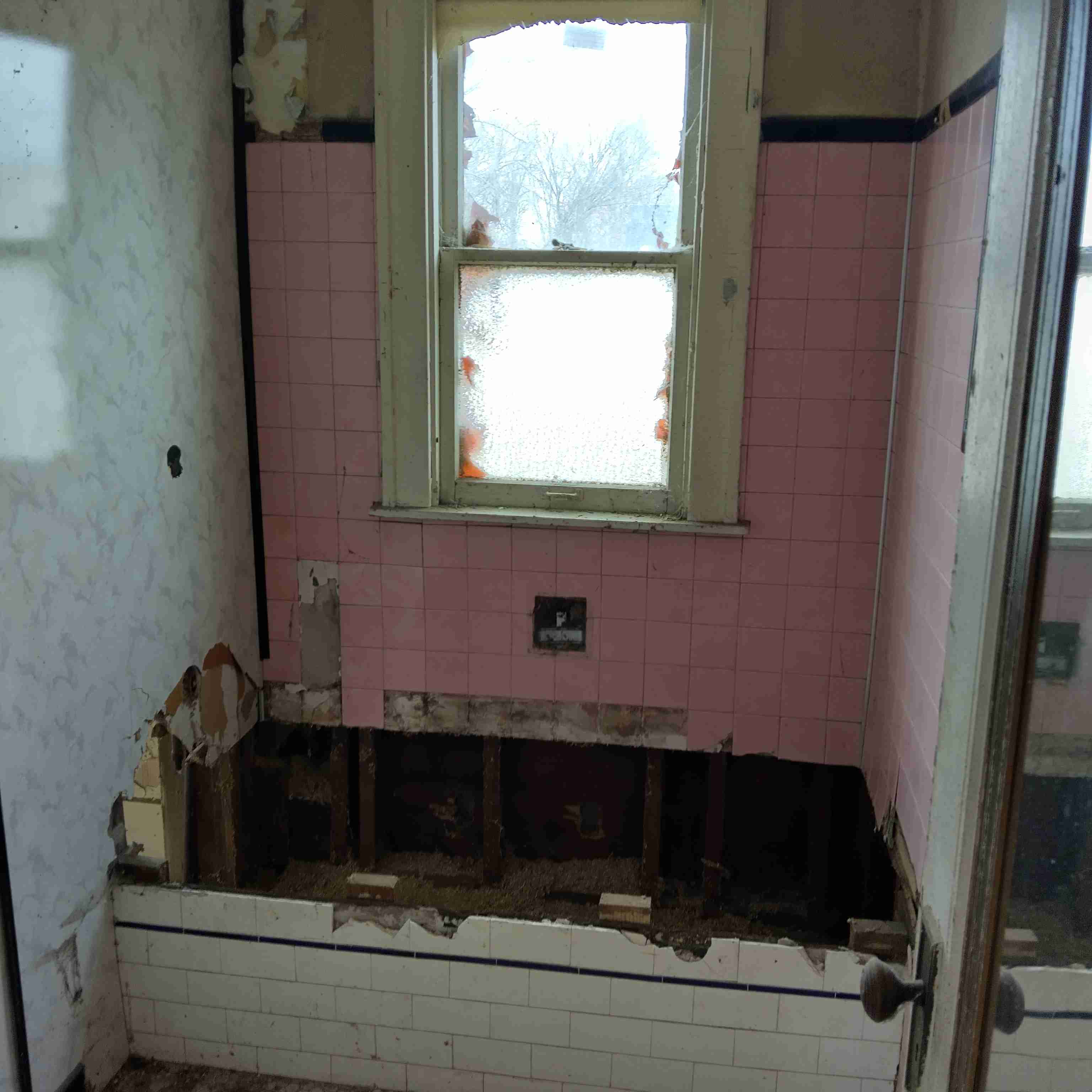 IMG_20250306_115050_HDR.jpg