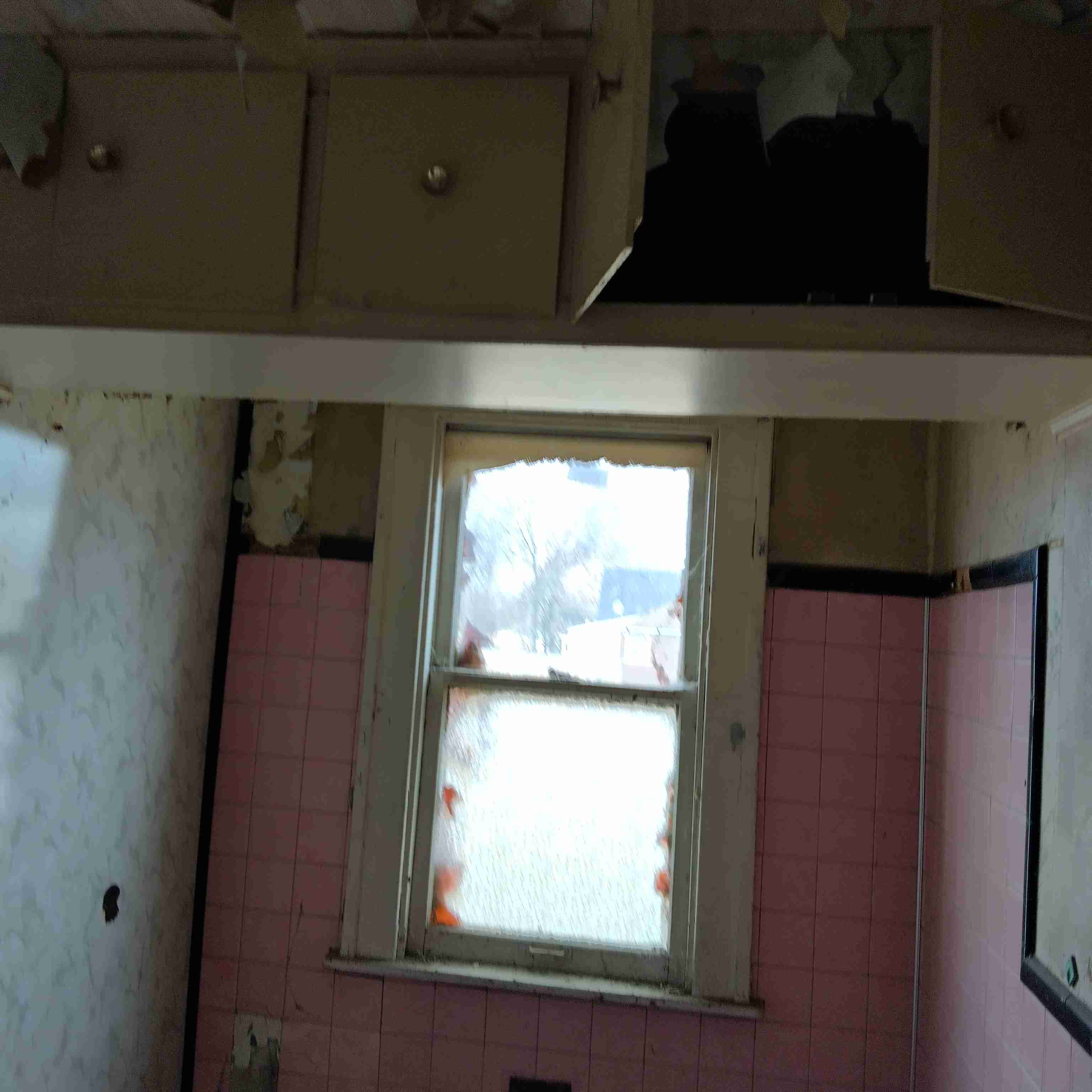 IMG_20250306_115059_HDR.jpg