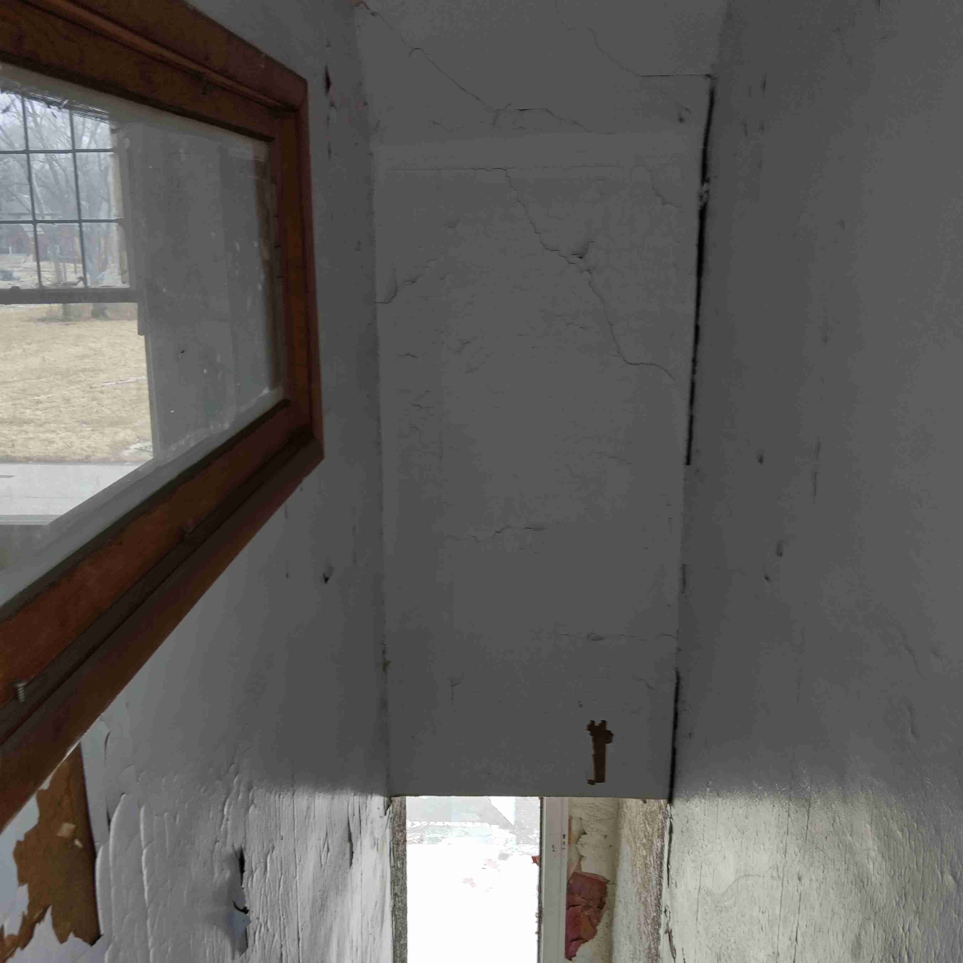IMG_20250306_115457_HDR.jpg